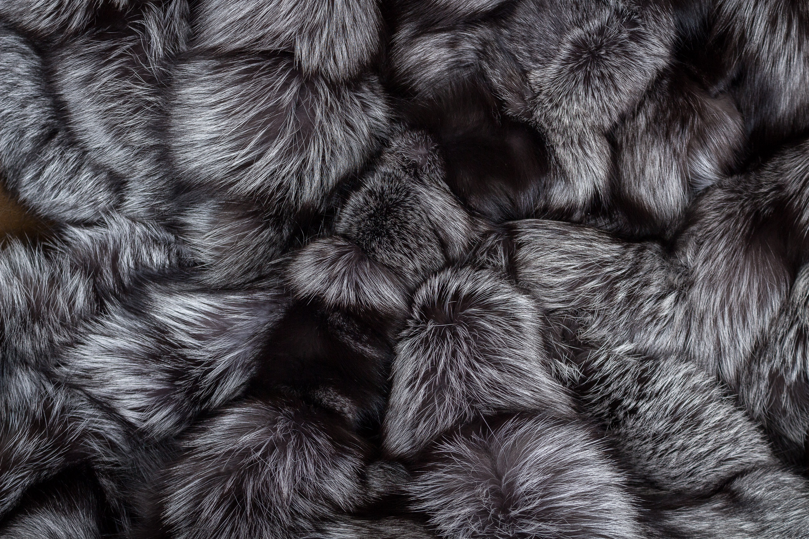 8-1391-Grosse-Silberfuchs-Pelzdecke-besonderer-Verarbeitung Large Silver Fox Throw with special processing