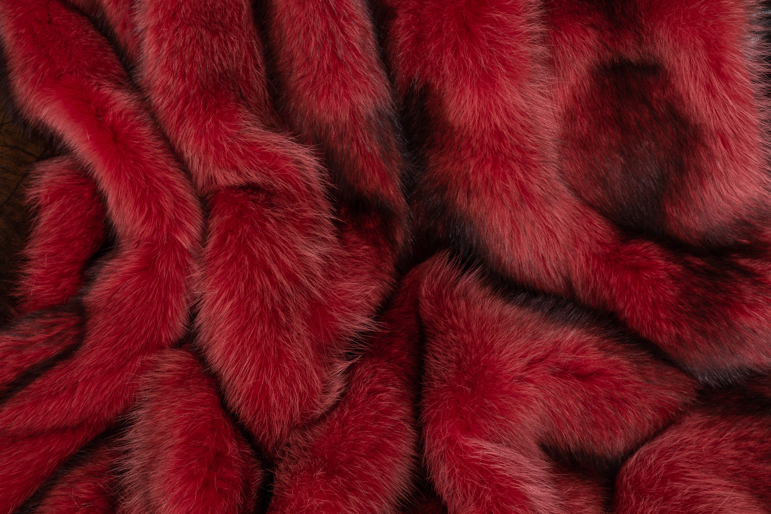 Raccoon Fur Blanket in Red from Canadian Raccoons