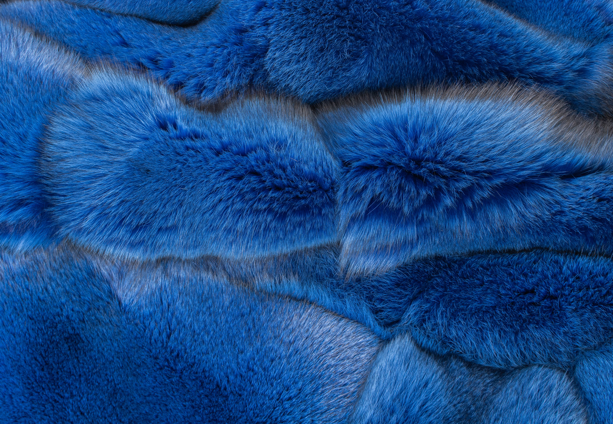 Blue Fox Fur Blanket in Blue