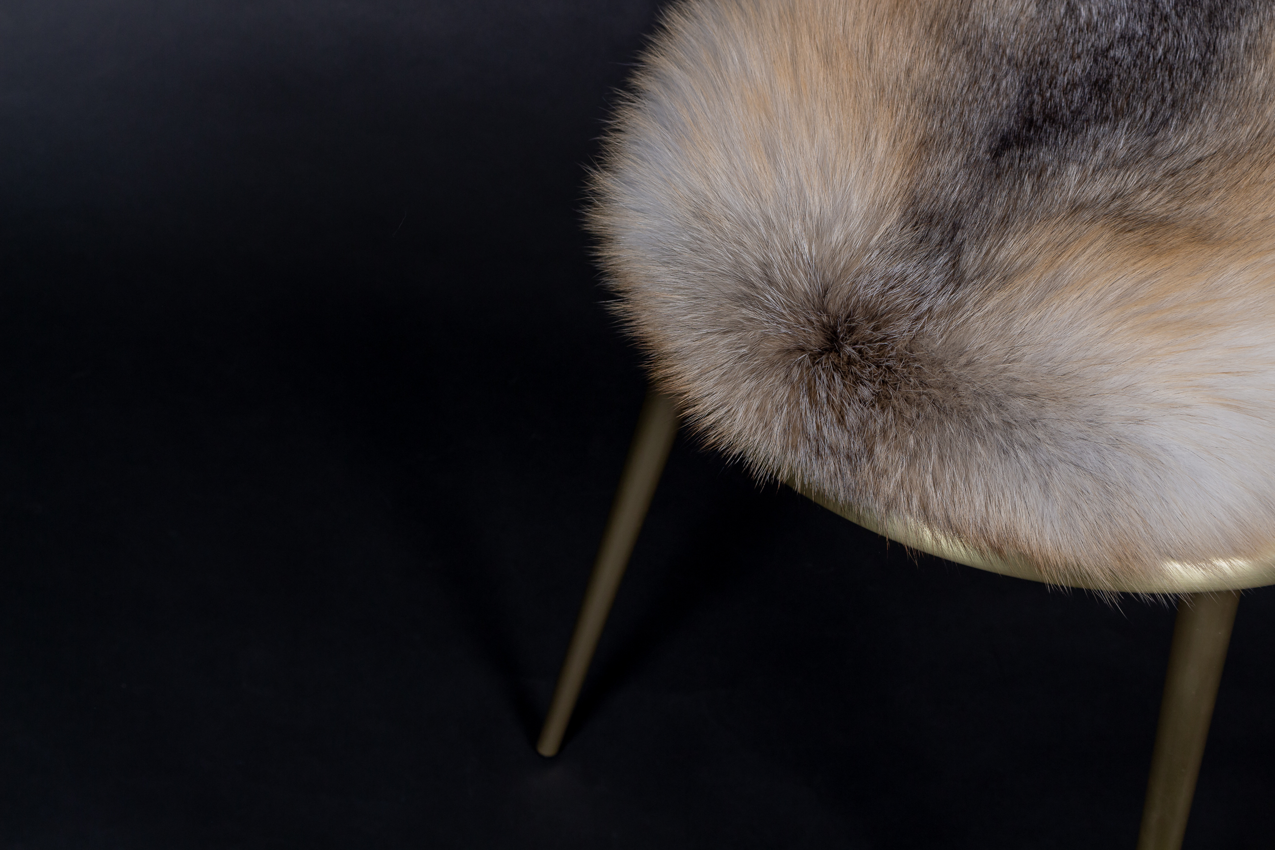 Cantori Chairs with Golden Island Fox Skin
