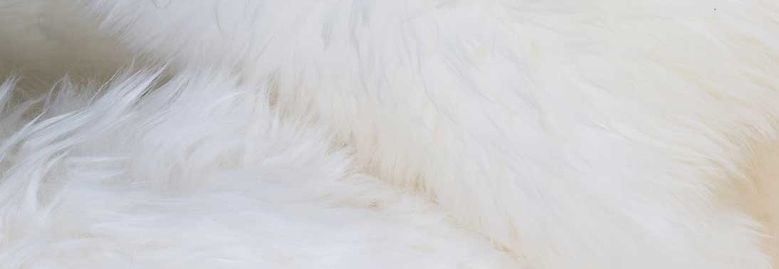 Lammfell-Page-Lamb-Fur-Banner-bottom Lammfell-Page-Lamb-Fur-Banner-bottom