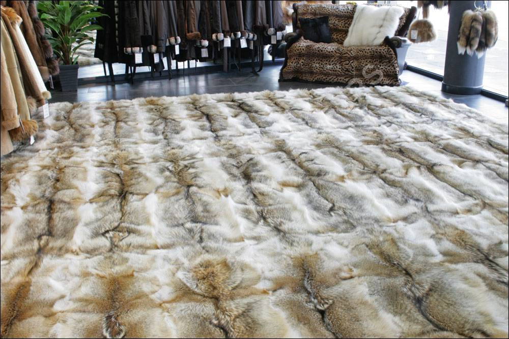 Genuine coyote fur carpet in 4 x 4 m