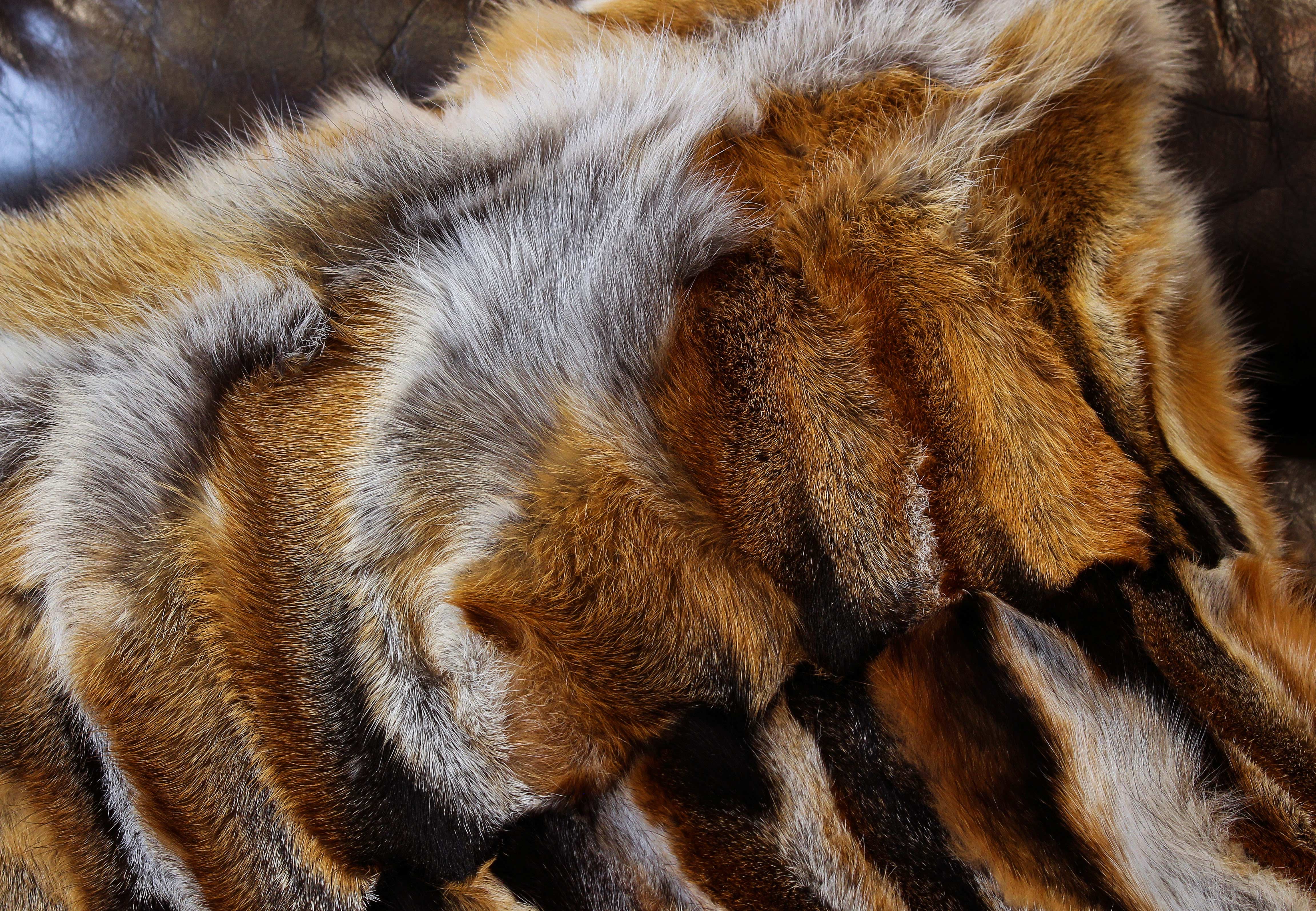 European Red Fox Paws Fur Pillow