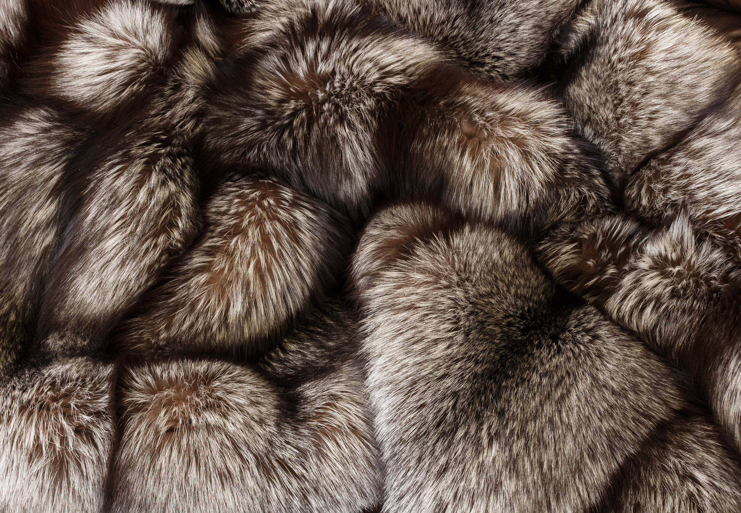 Elegant Silver Fox Fur Blanket in Mocha Grey Elegant Silver Fox Fur Blanket in Mocha Grey