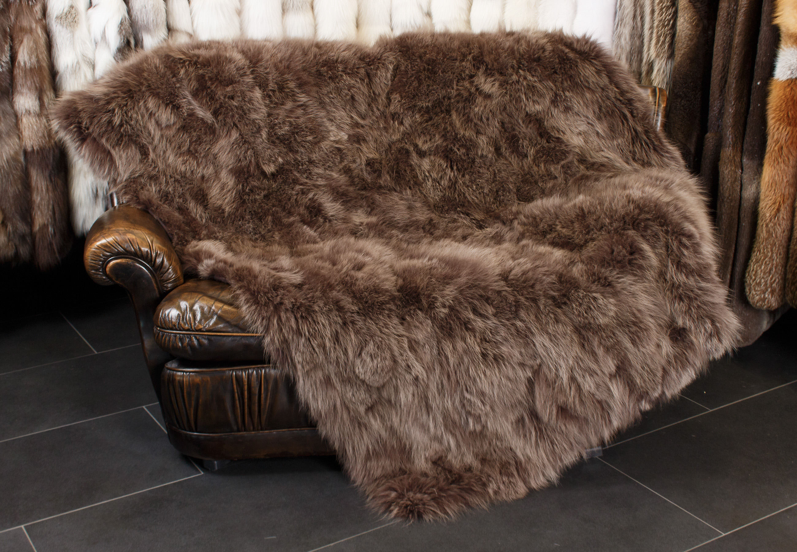 Canadian Coyote-sides Fur Throw in Chocolate Brown Canadian Coyote-sides Fur Throw in Chocolate Brown