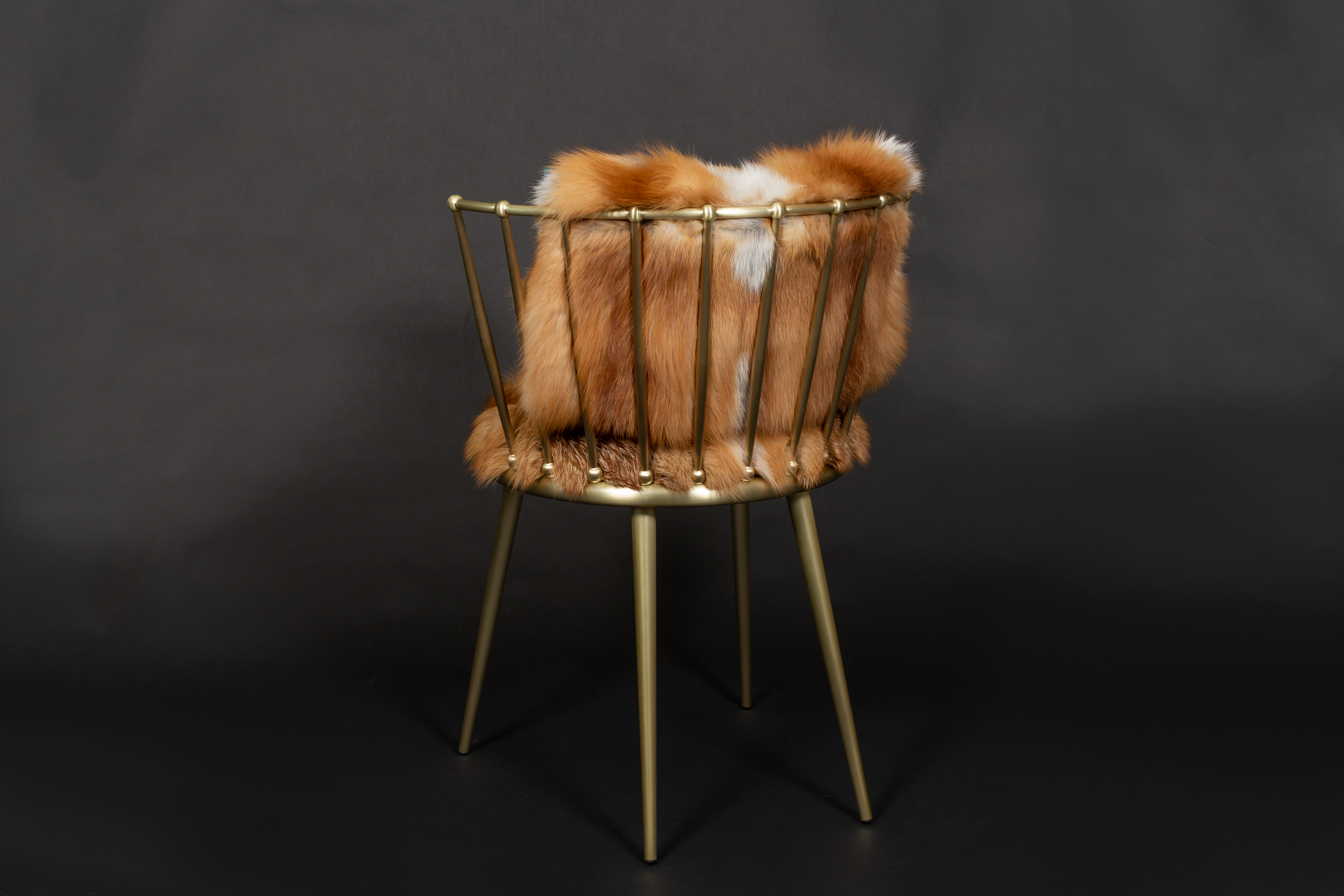 Red Fox Chair from European Foxes