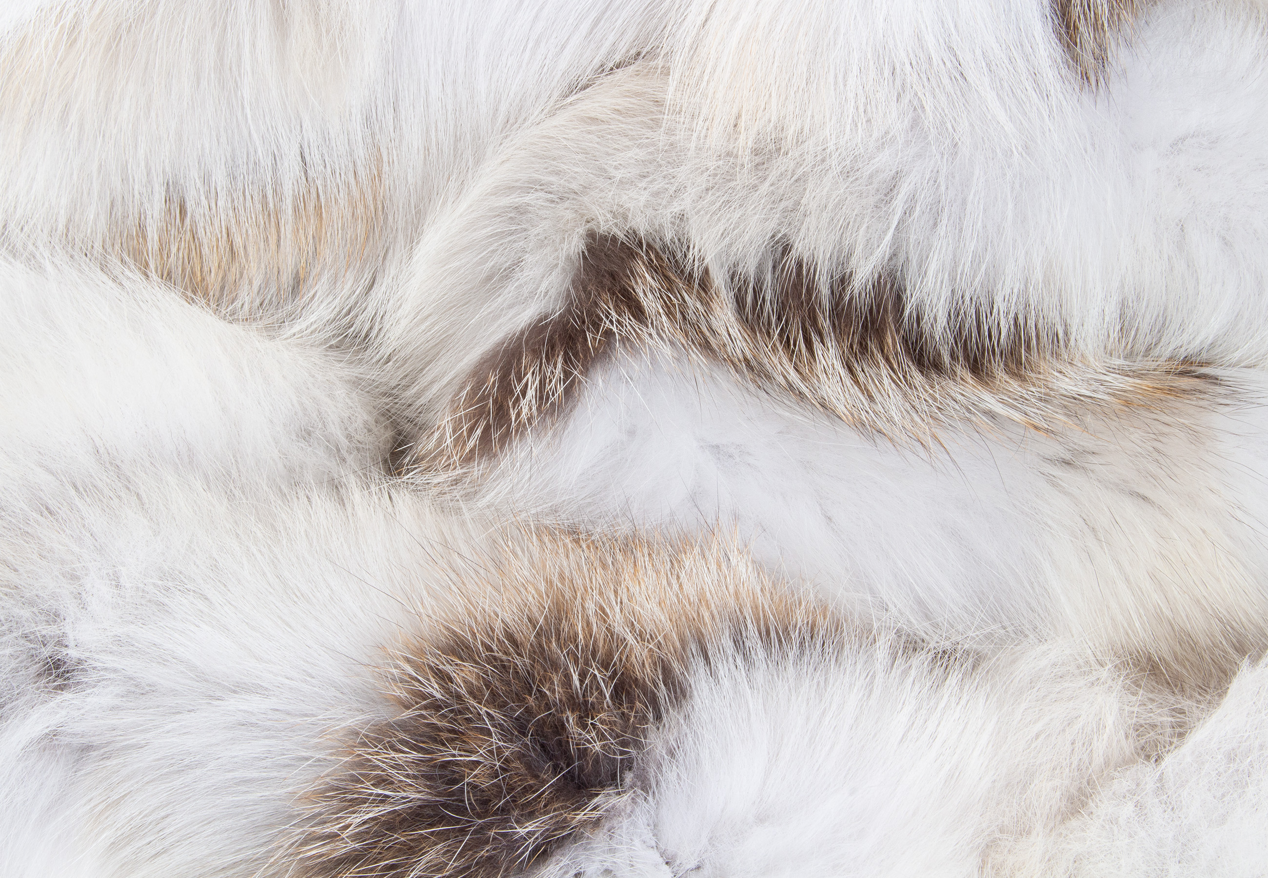 Fawnlight Fox Sides Fur Blanket