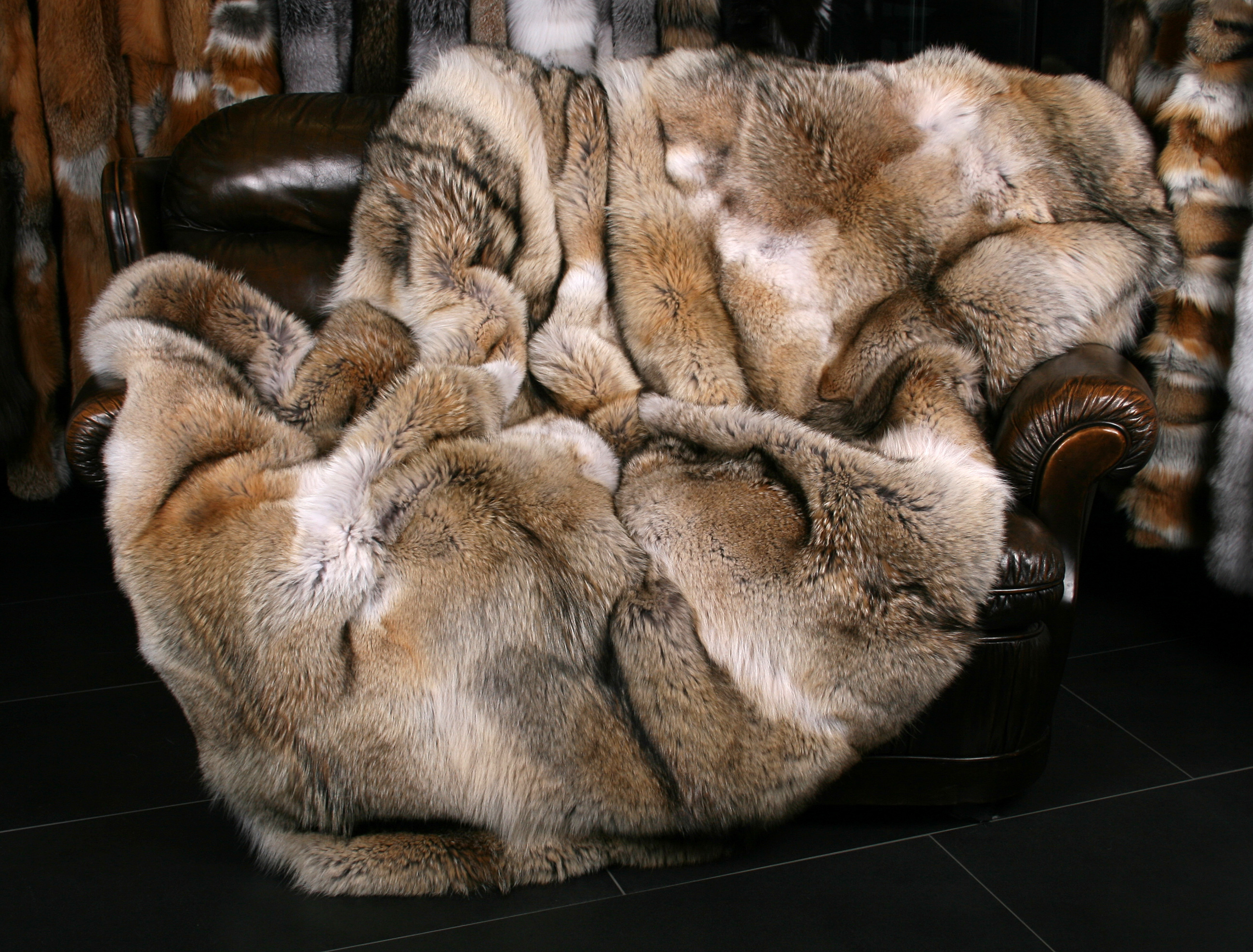 1-Rustikale-Pelzdecke-aus-kanadischen-Kojoten Coyote Fur Blanket - Fur Harvesters Quality