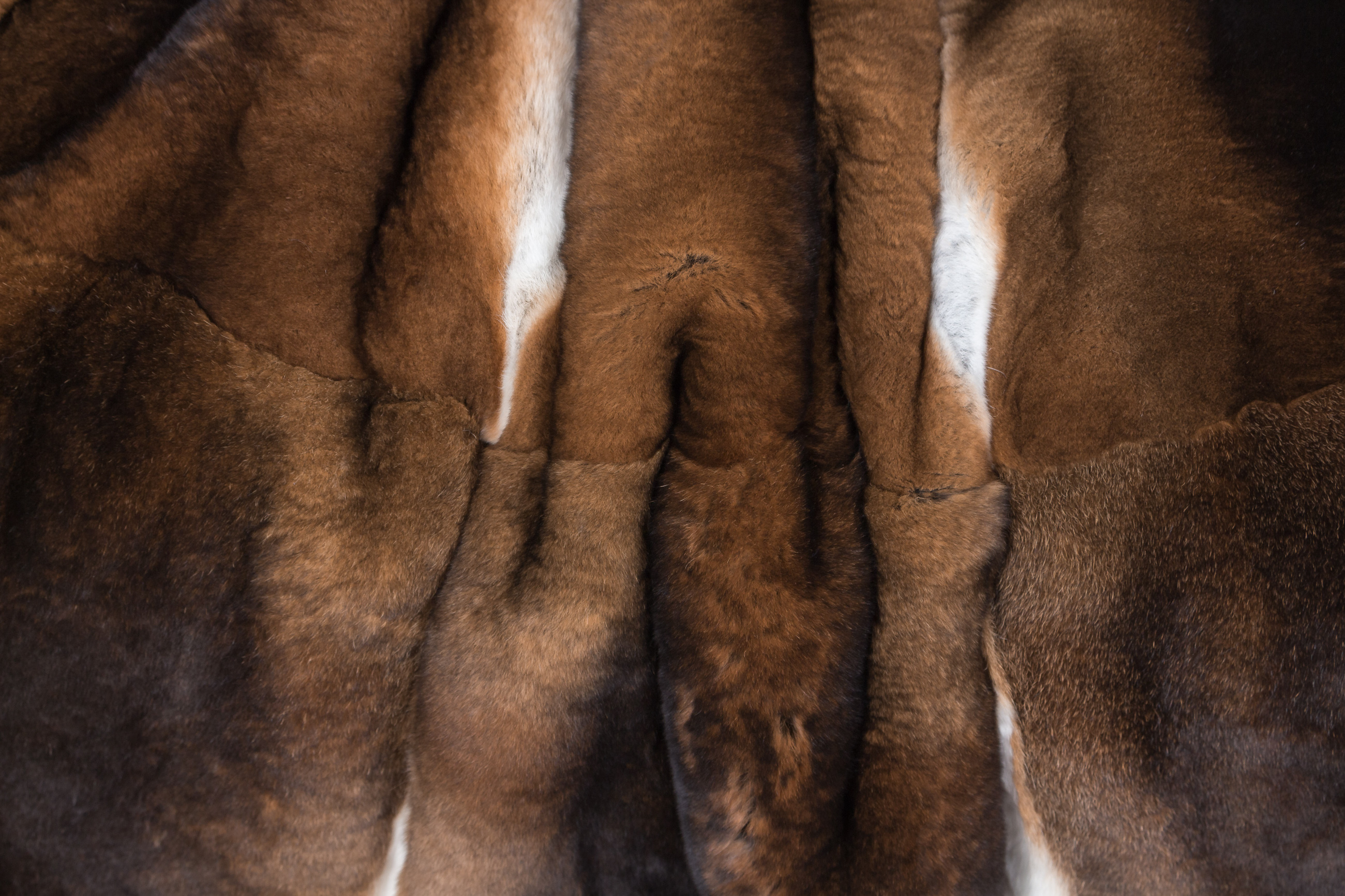 Castor Rex Rabbit Fur Blanket - Natural - very soft