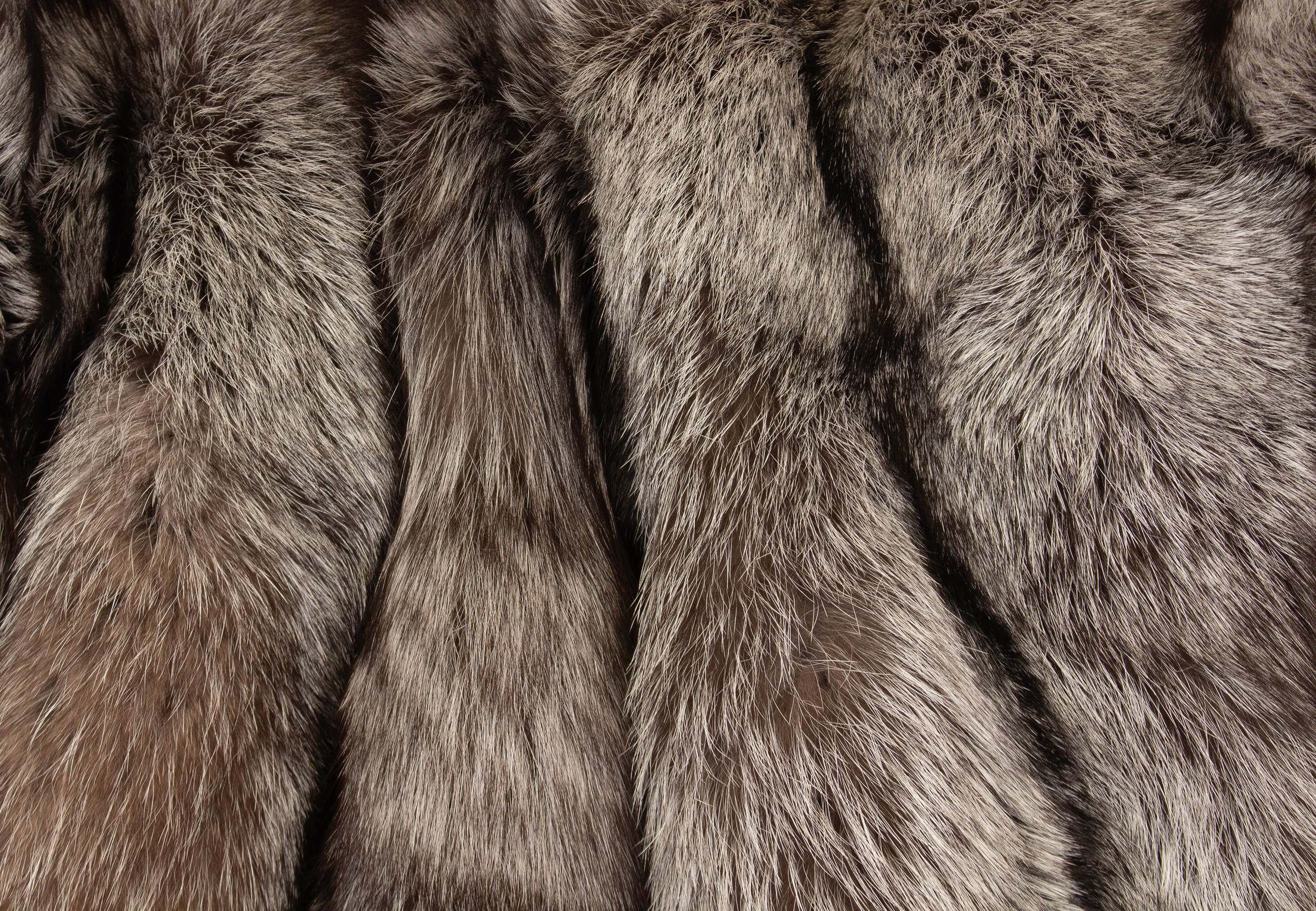 Silver Fox Fur Blanket - Brown Type
