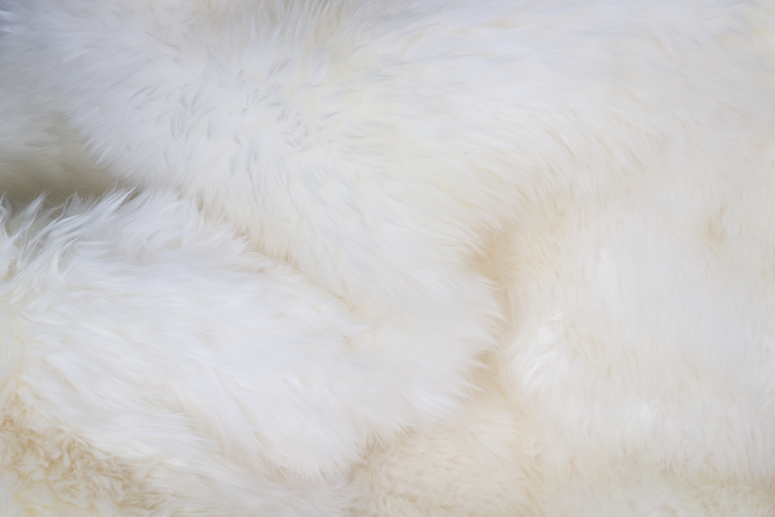 Australian Lamb Blanket - Lamb Fur Carpet in Natural White