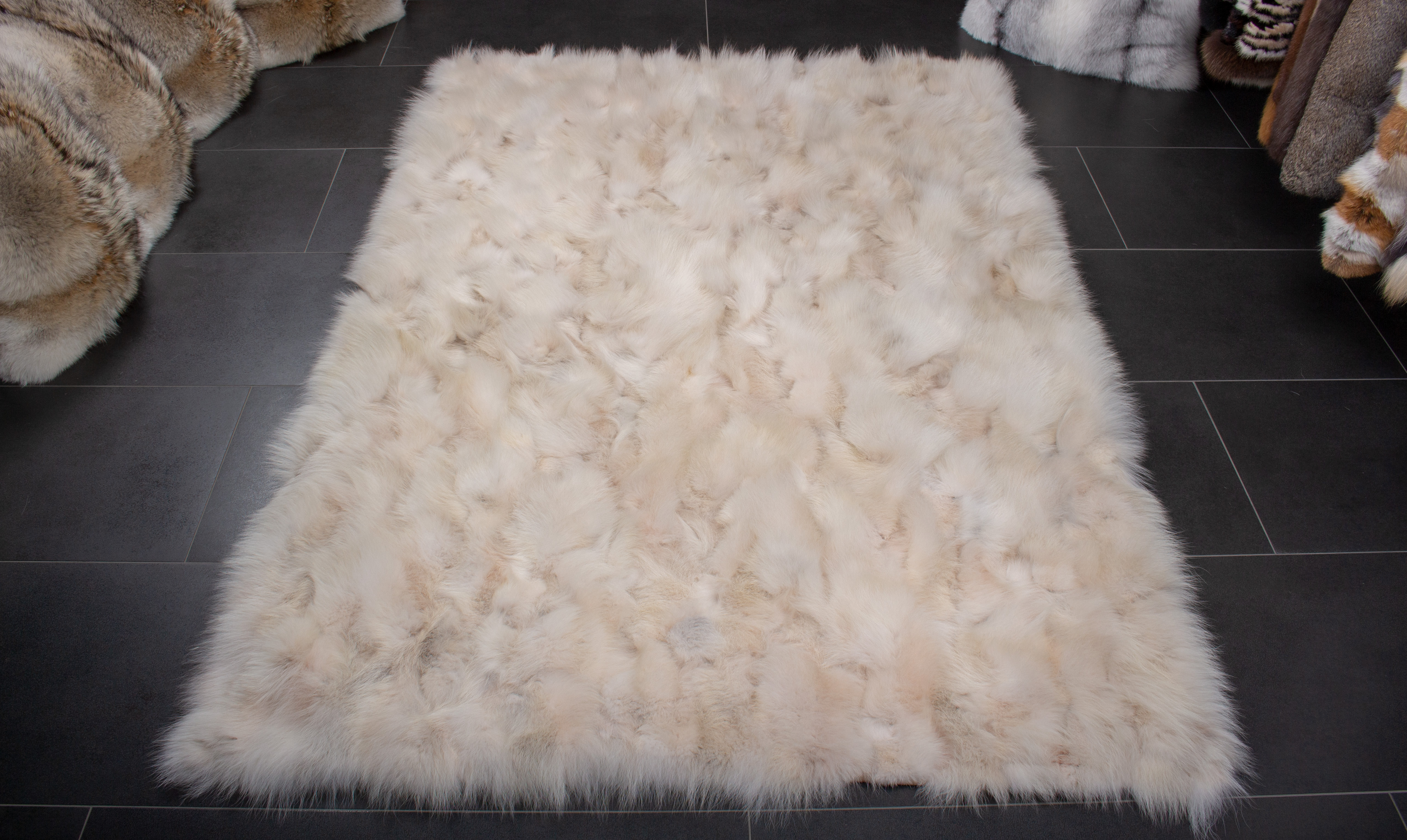 Canadian Coyote Fur Rug