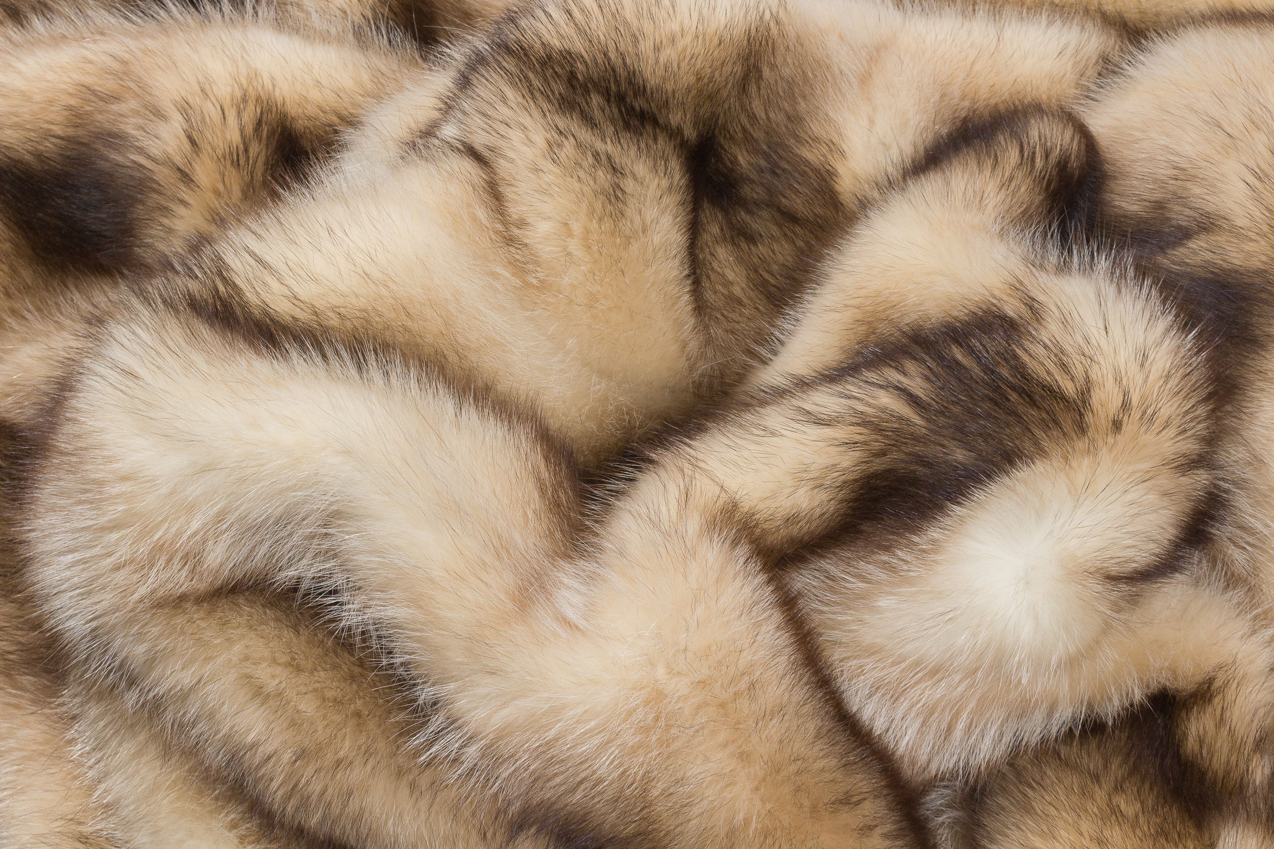 Raccoon Fur Carpet in beige