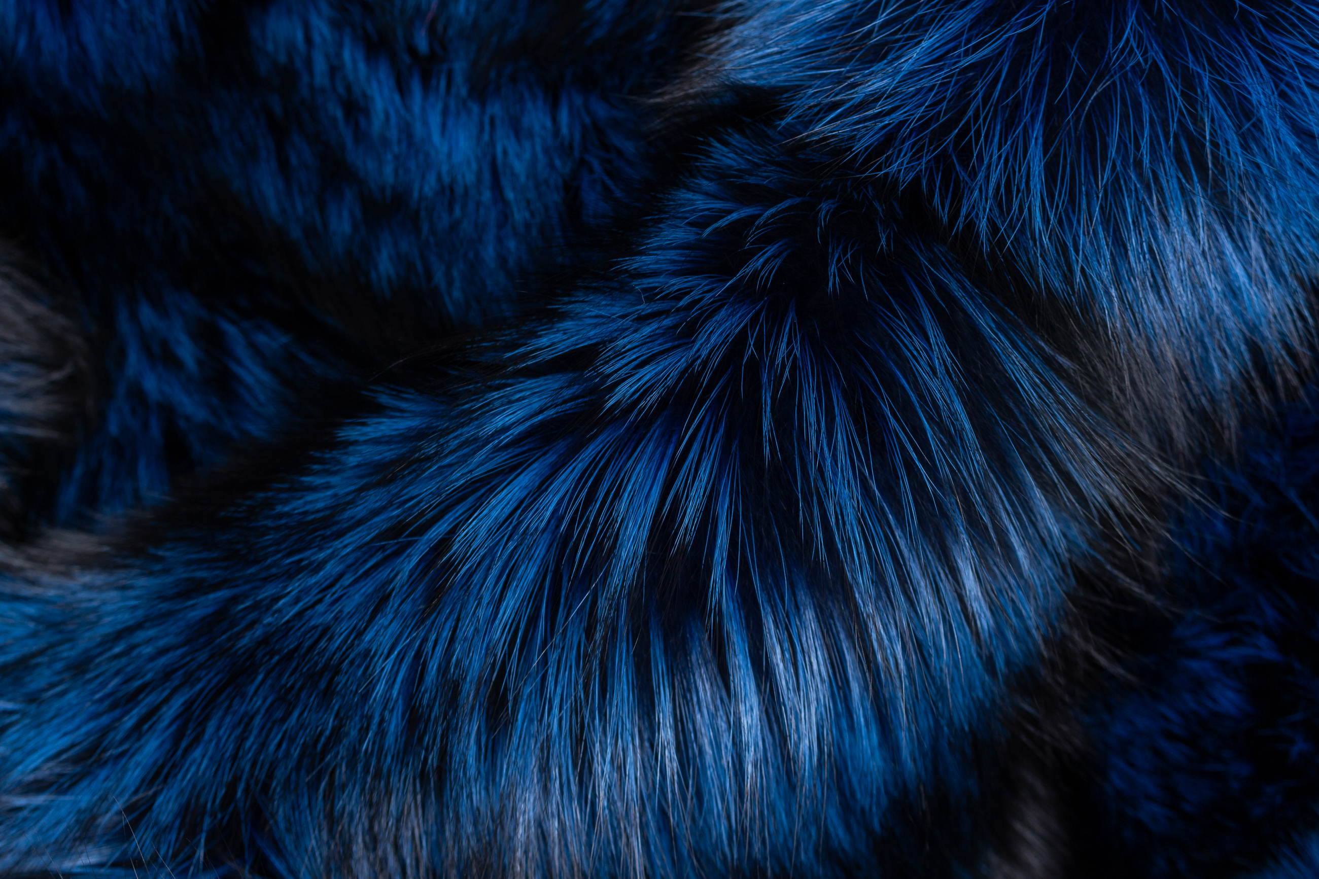 Blue Silver Fox Fur Throw From Scandinavian Foxes