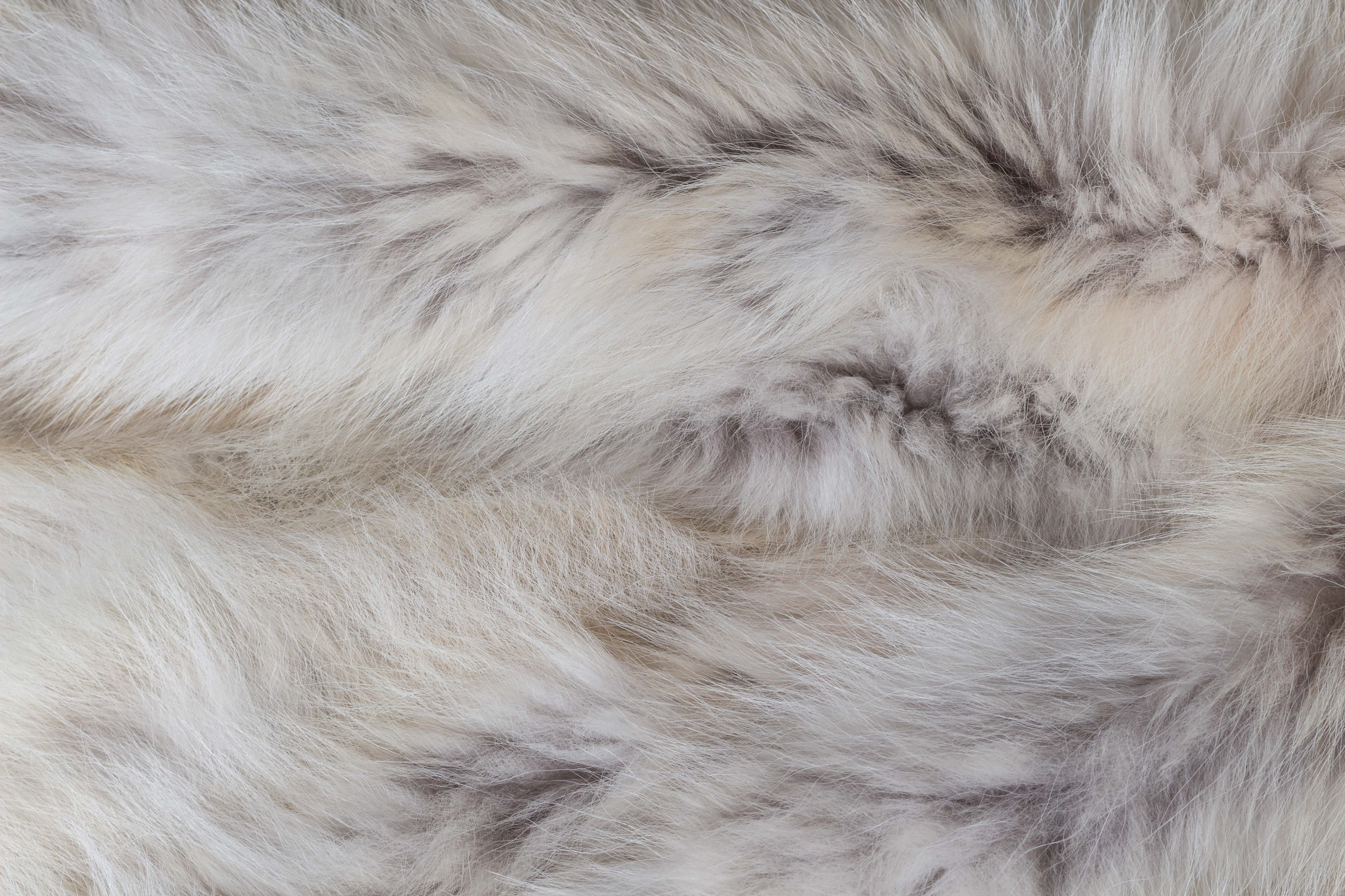Candian Coyote Sides Fur Throw