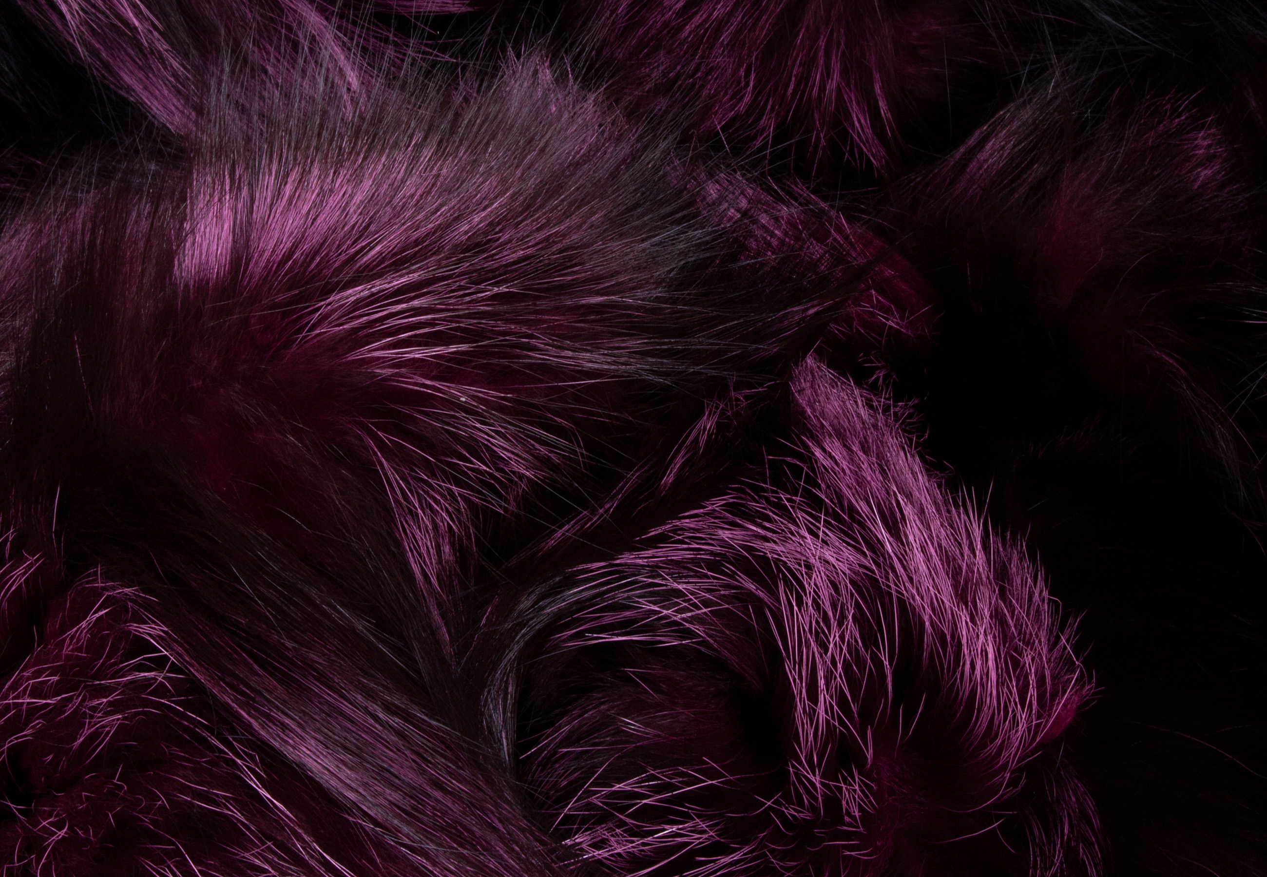 Silver Fox Fur Blanket in Black-Purple