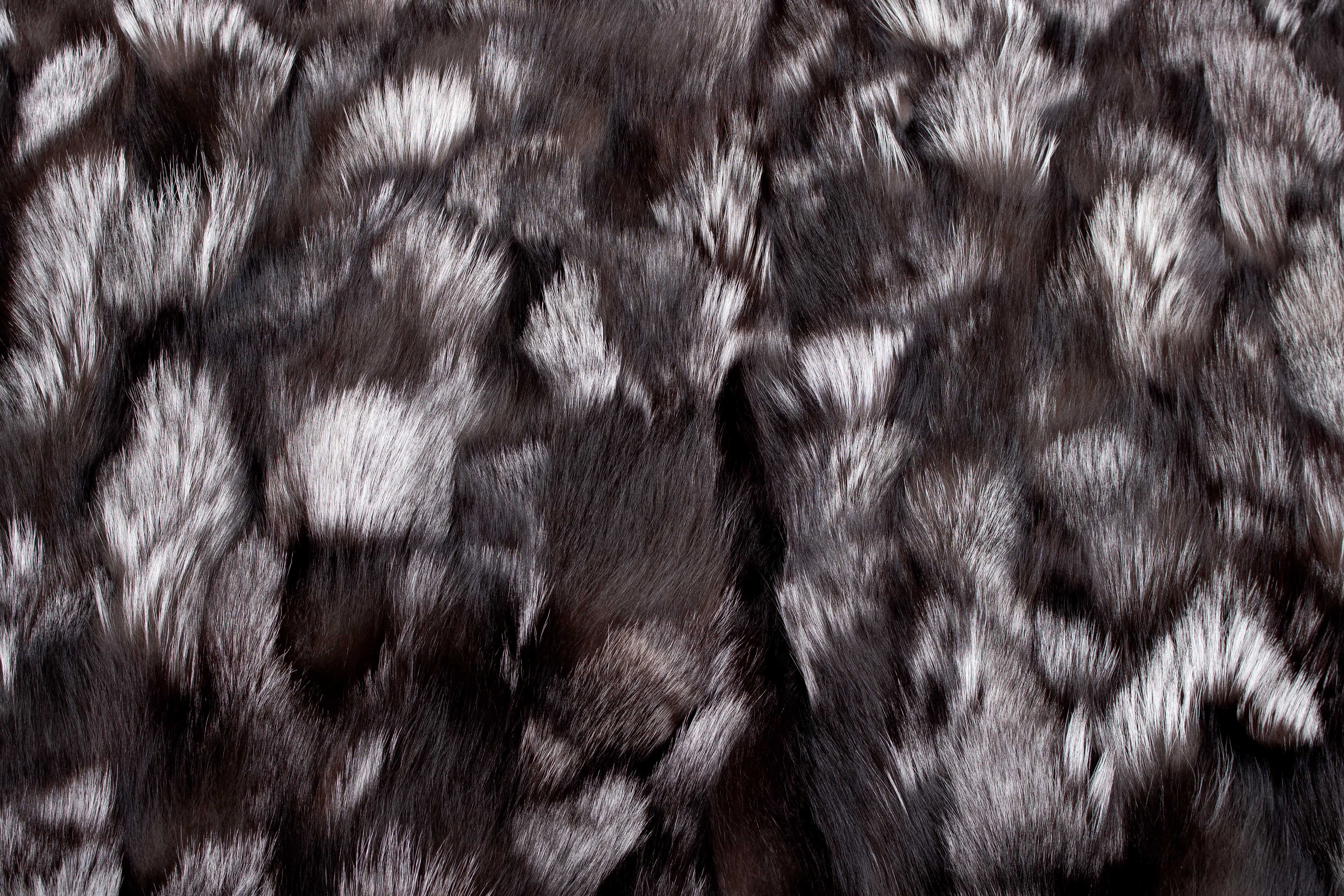 4-1487-Skandinavischer-Silberfuchs-St-cken-Pelzteppich-Paustian Scandinavian Silverfox Sides Fur Rug