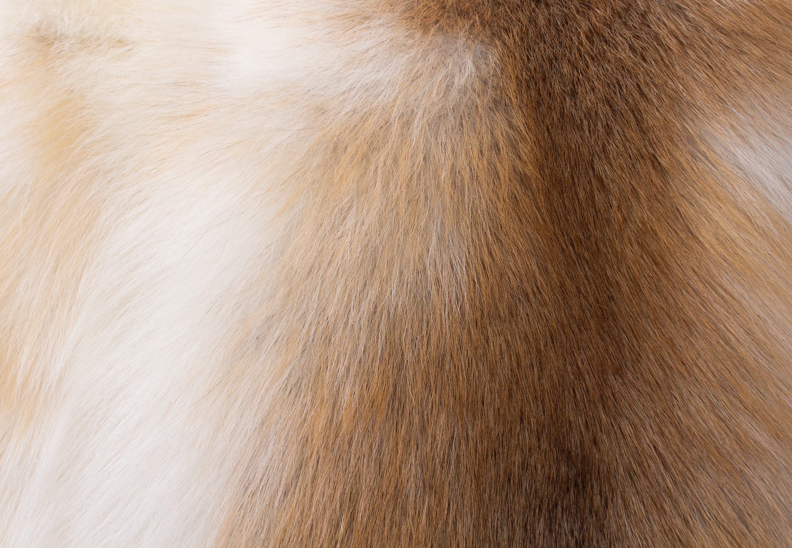 Sun Glo Fox Fur Pillow Made from Real Fur