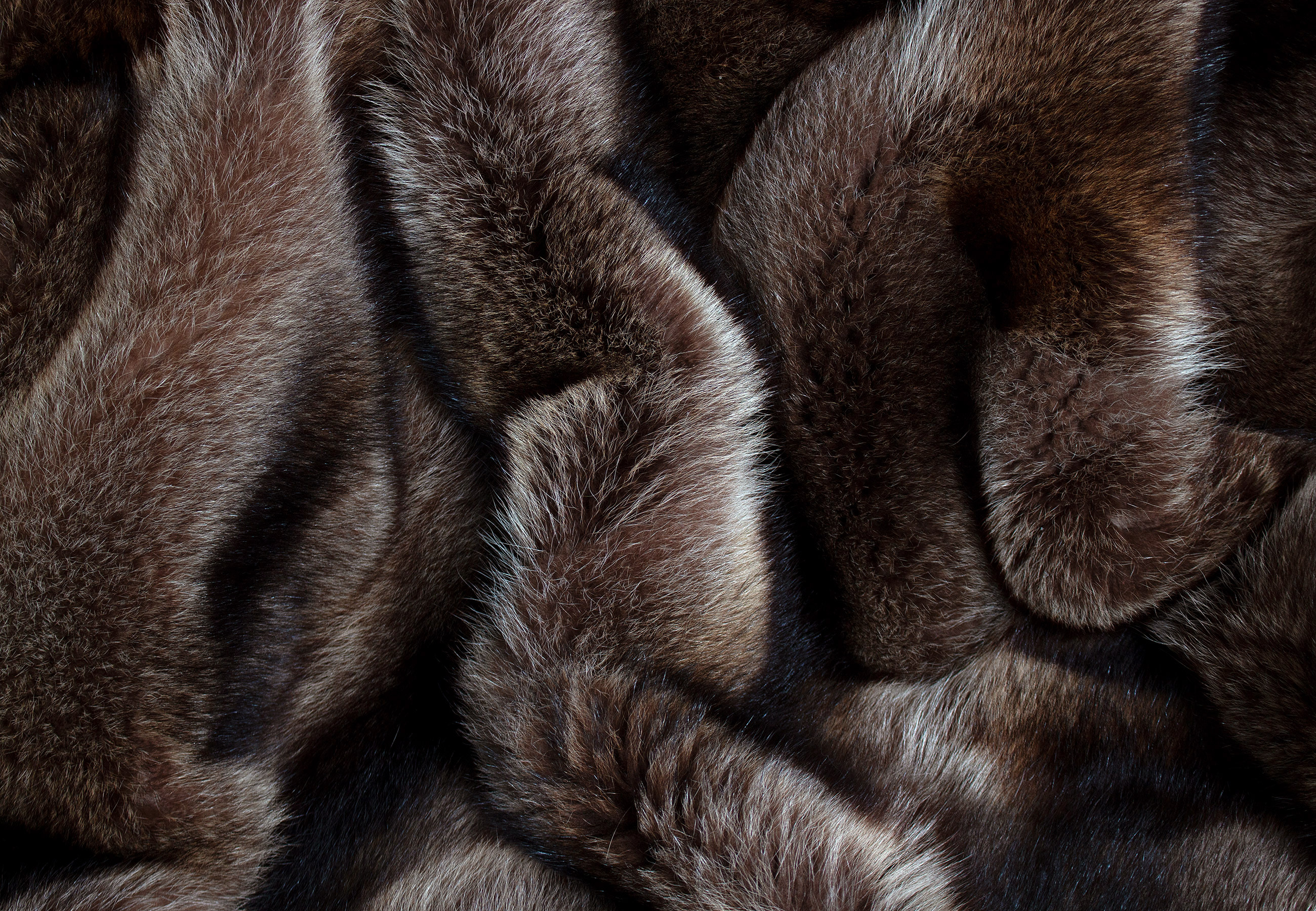 Real Canadian Racoon Fur Blanket - natural coloured
