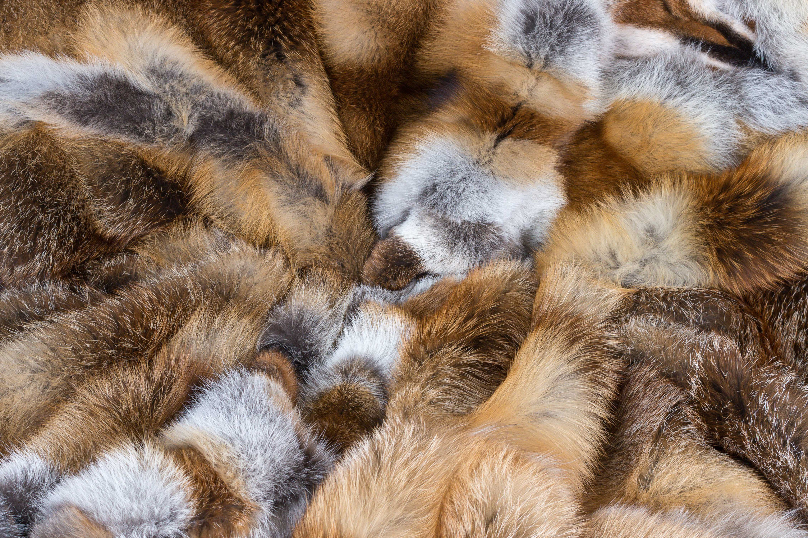 European Red Fox Fur Throw - Light-Type