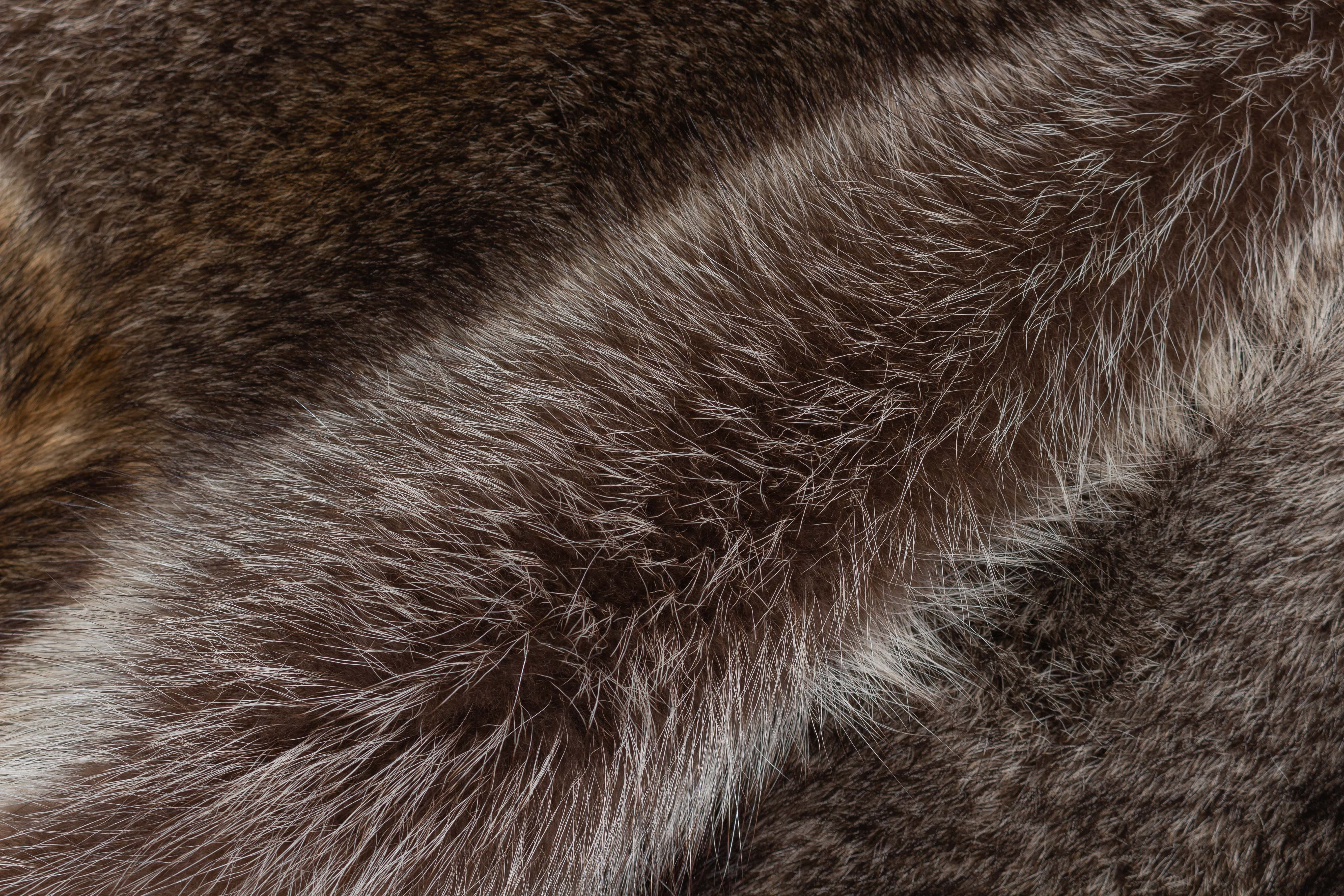 Canadian Raccoon Fur Blanket with Fur on Both Sides