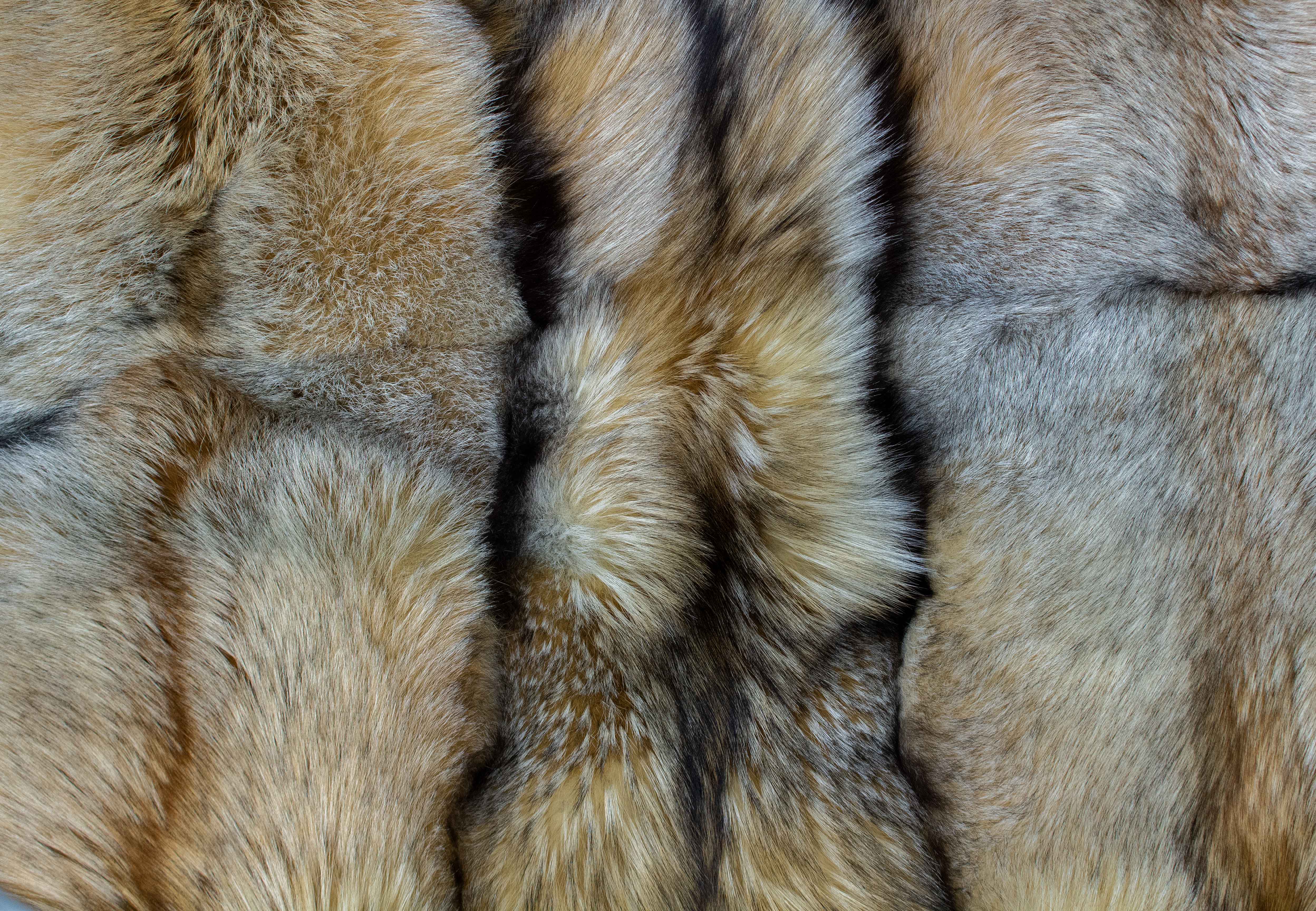 Smokey Fox Carpet "Golden Sparkle"