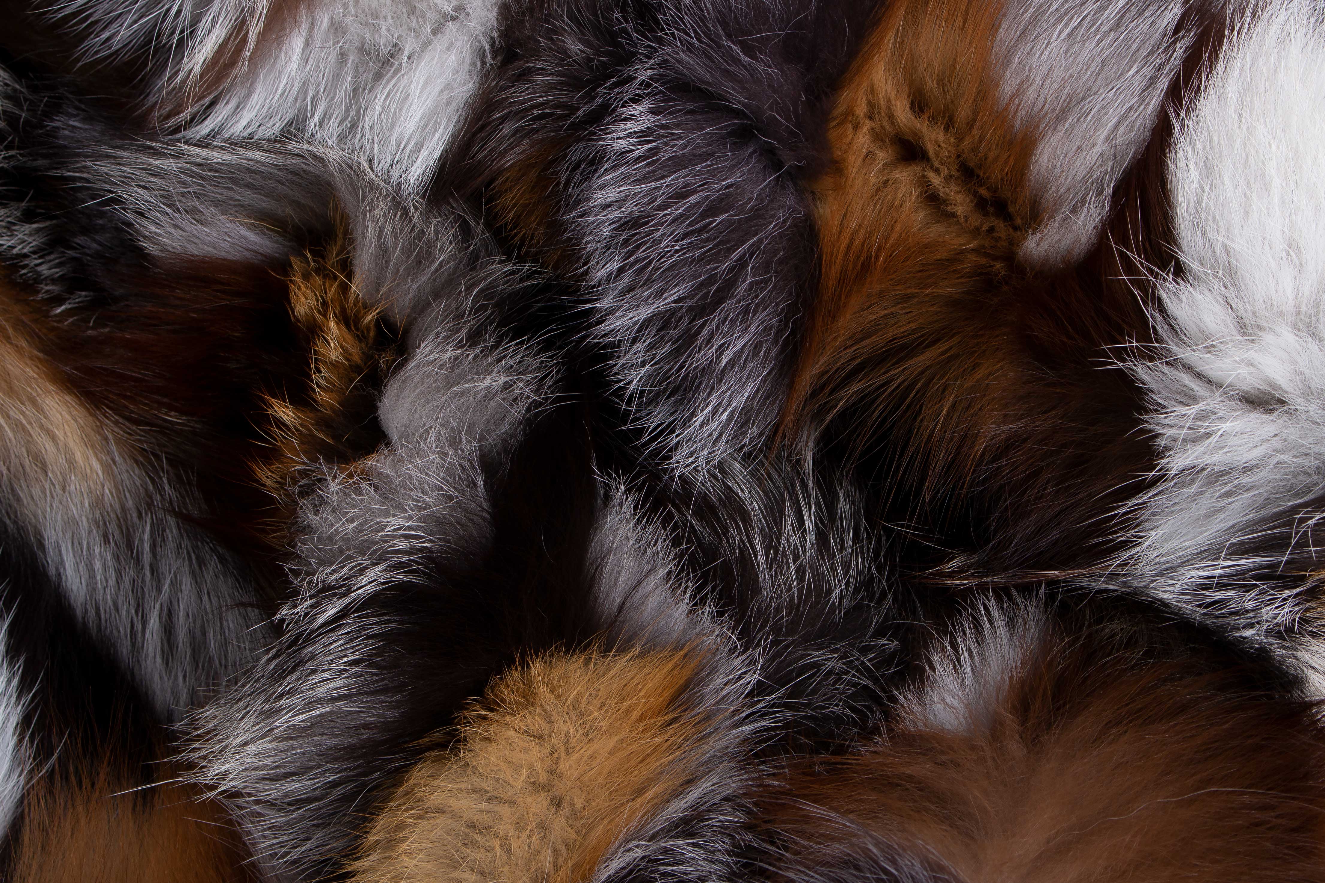 Scandinavian Fox Sides Fur Carpet