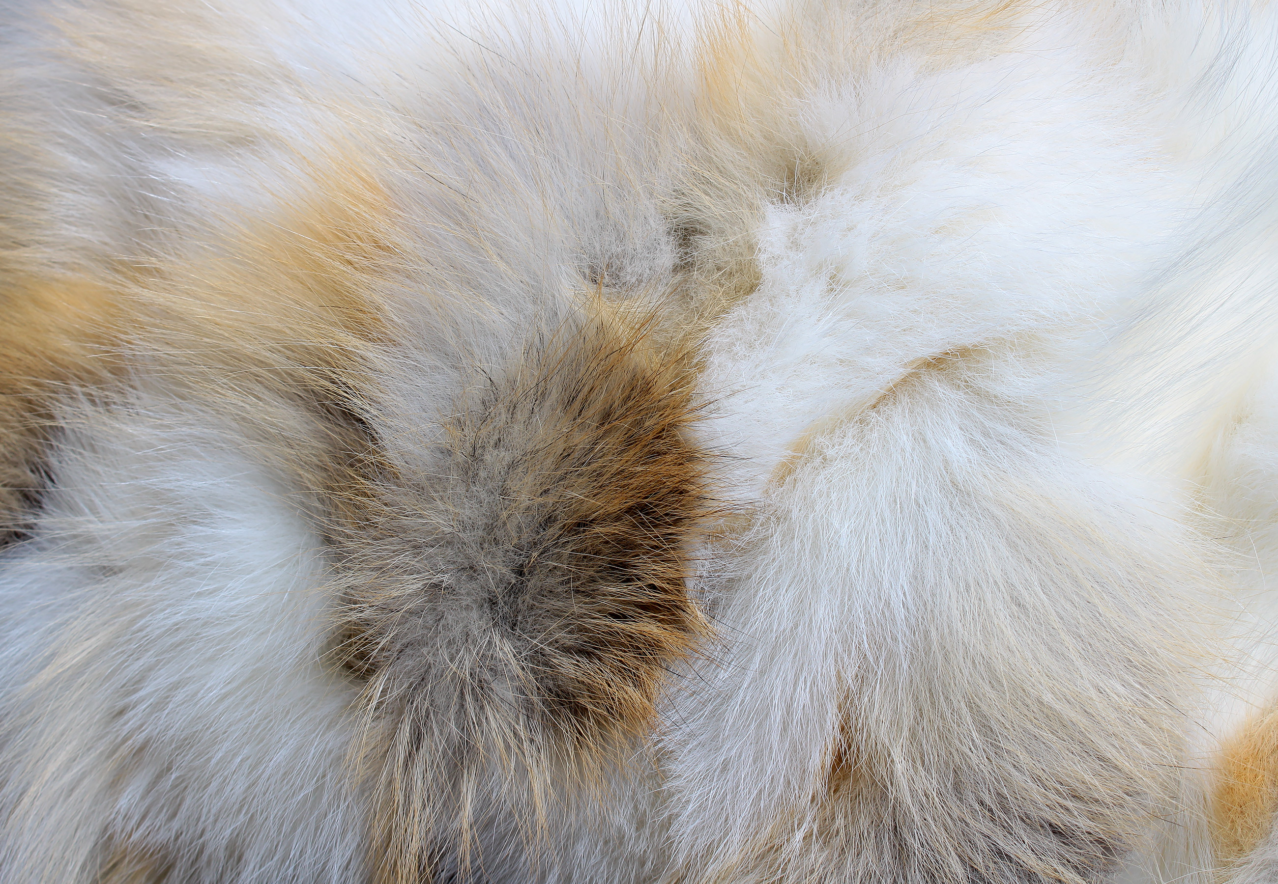 Golden Island Real Fur Fox Pillow