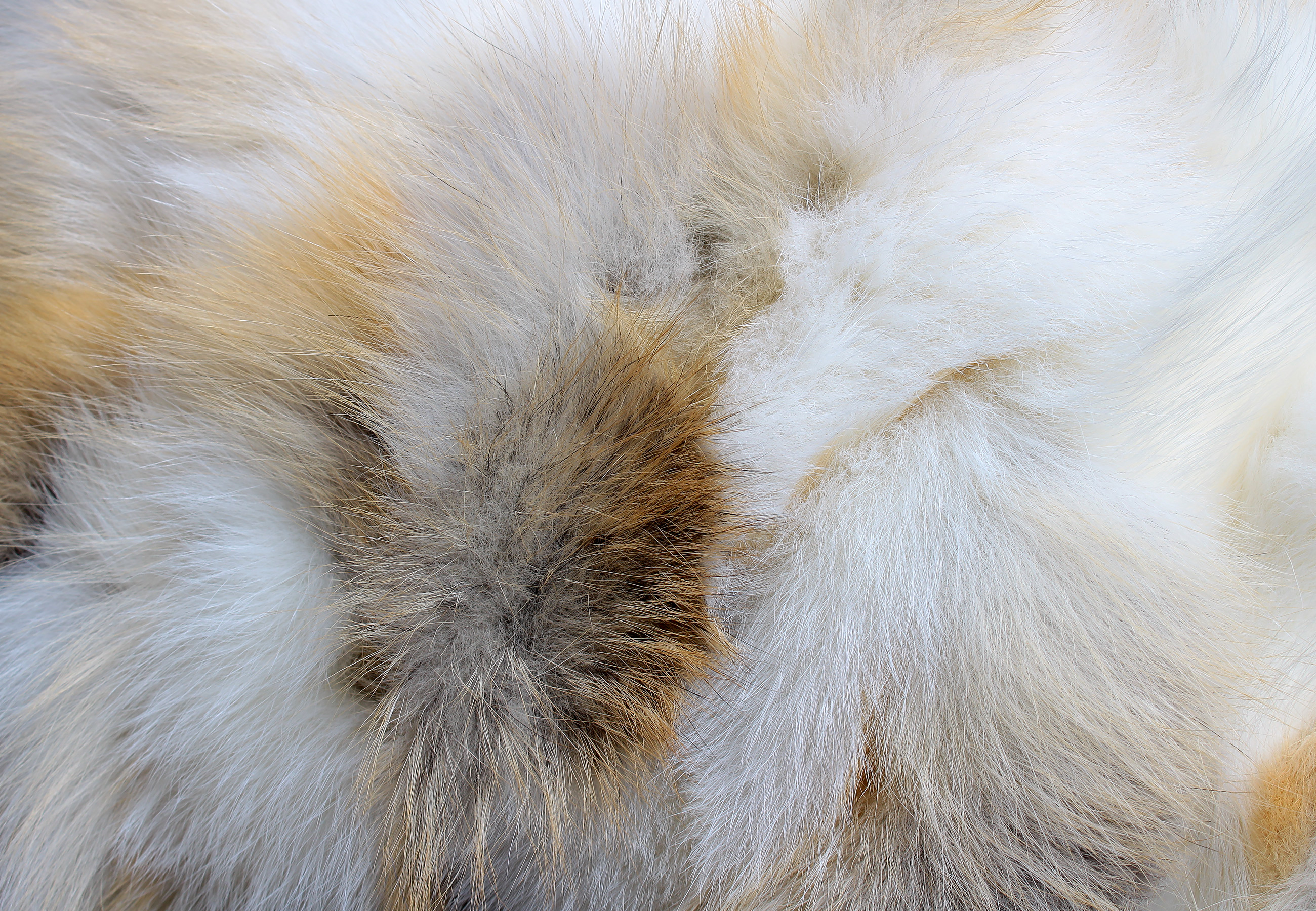 7-1778-Golden-Island-Echtfell-Fuchskissen Golden Island Real Fur Fox Pillow
