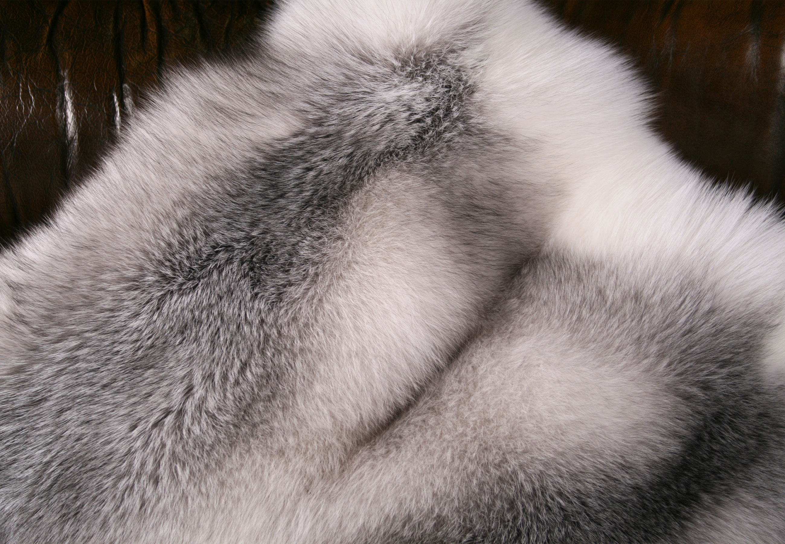Blue Shadow Frost Fox Fur Pillow (SAGA Fox)