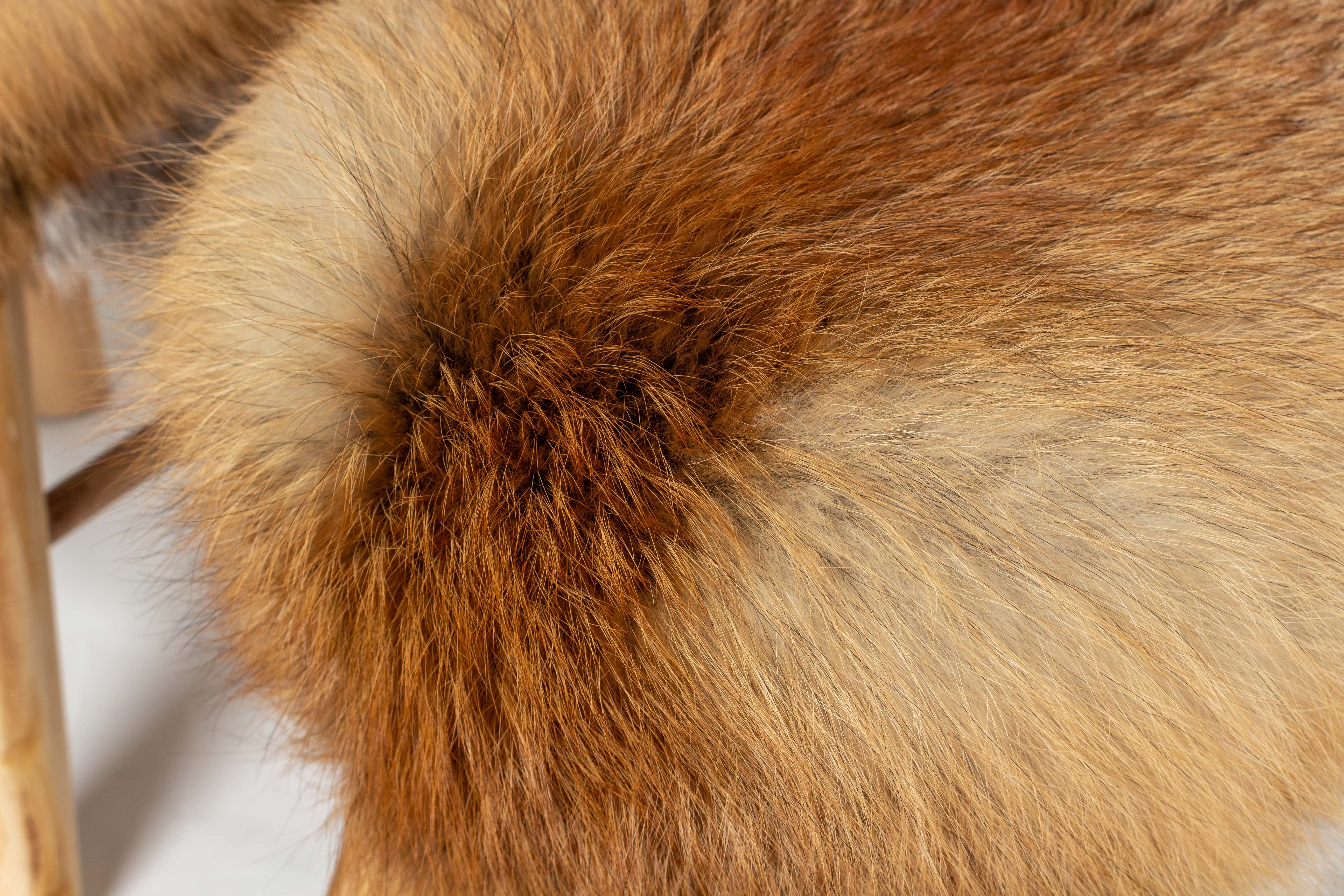 Fur Stool with European Red Fox