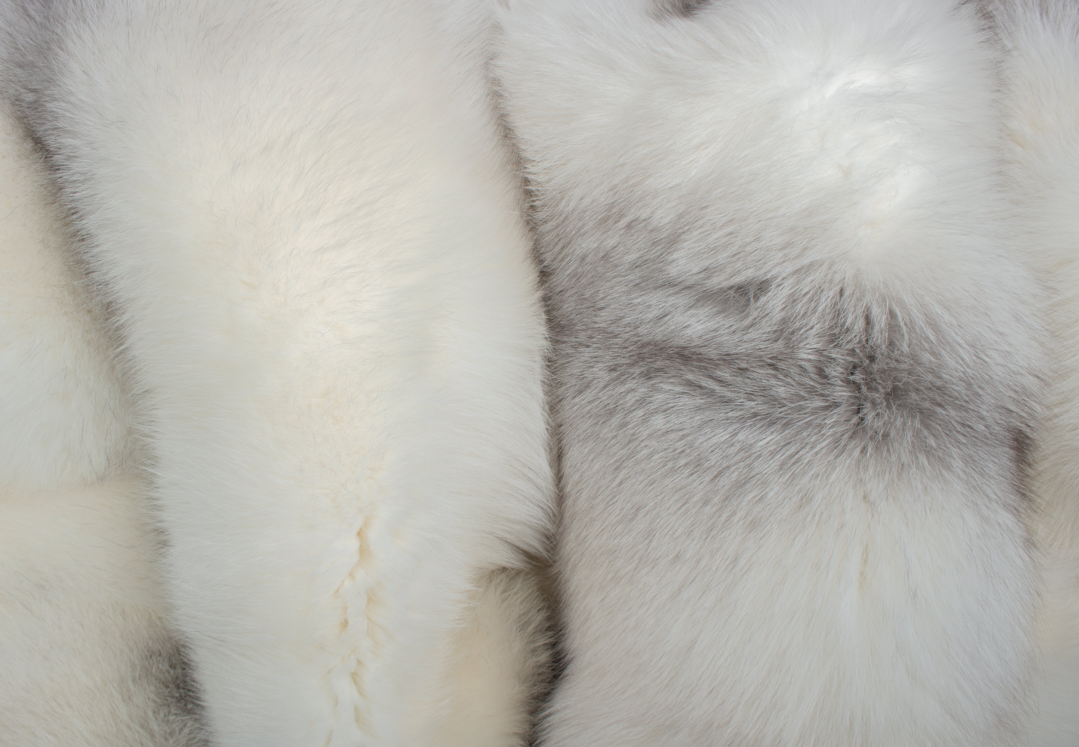 Arctic Marble Frost Fox Fur Blanket