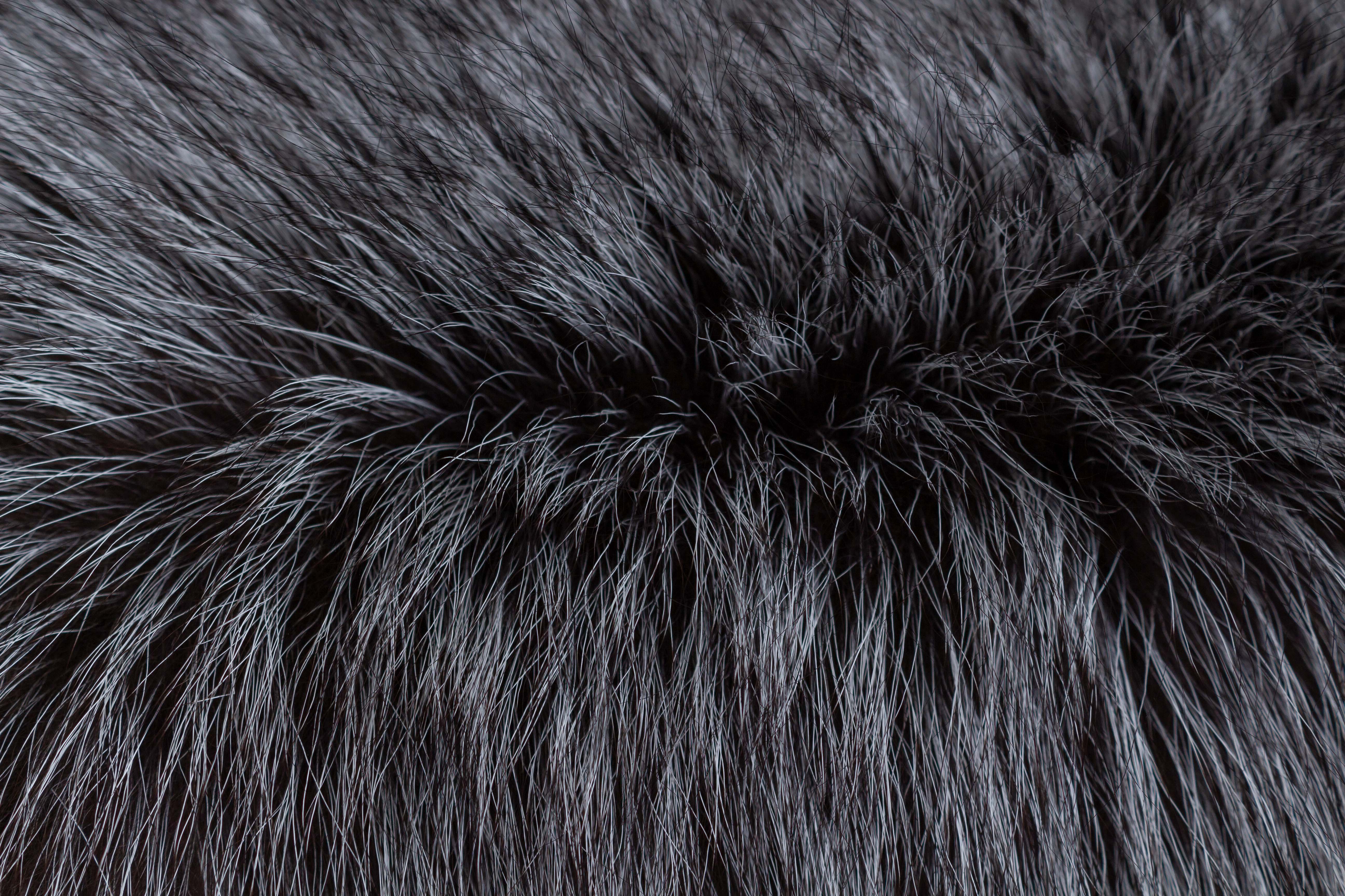 Silver Fox Fur Cushion