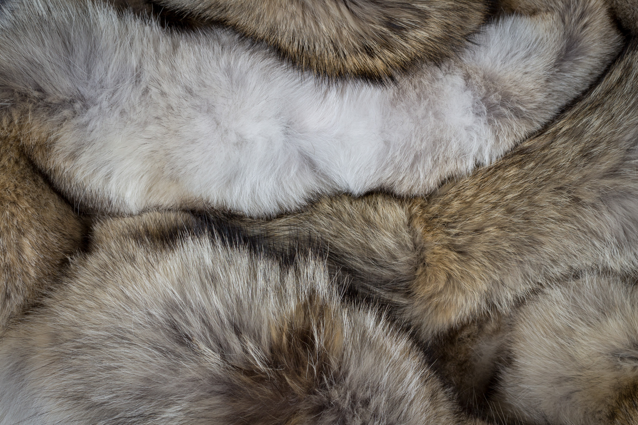 Canadian Coyote Fur Carpet - Round Shape