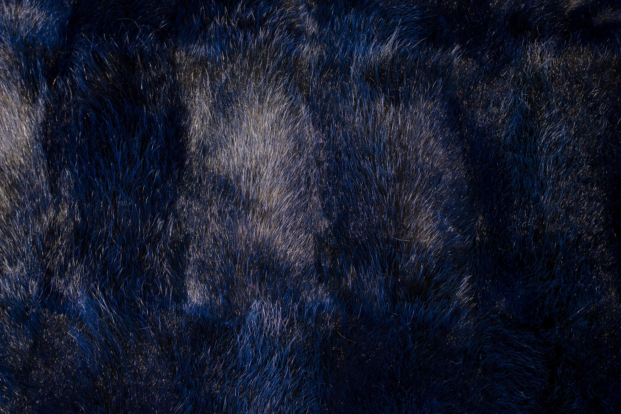 Real Possum Fur Carpet in Ocean Blue - 100% Wild Fur