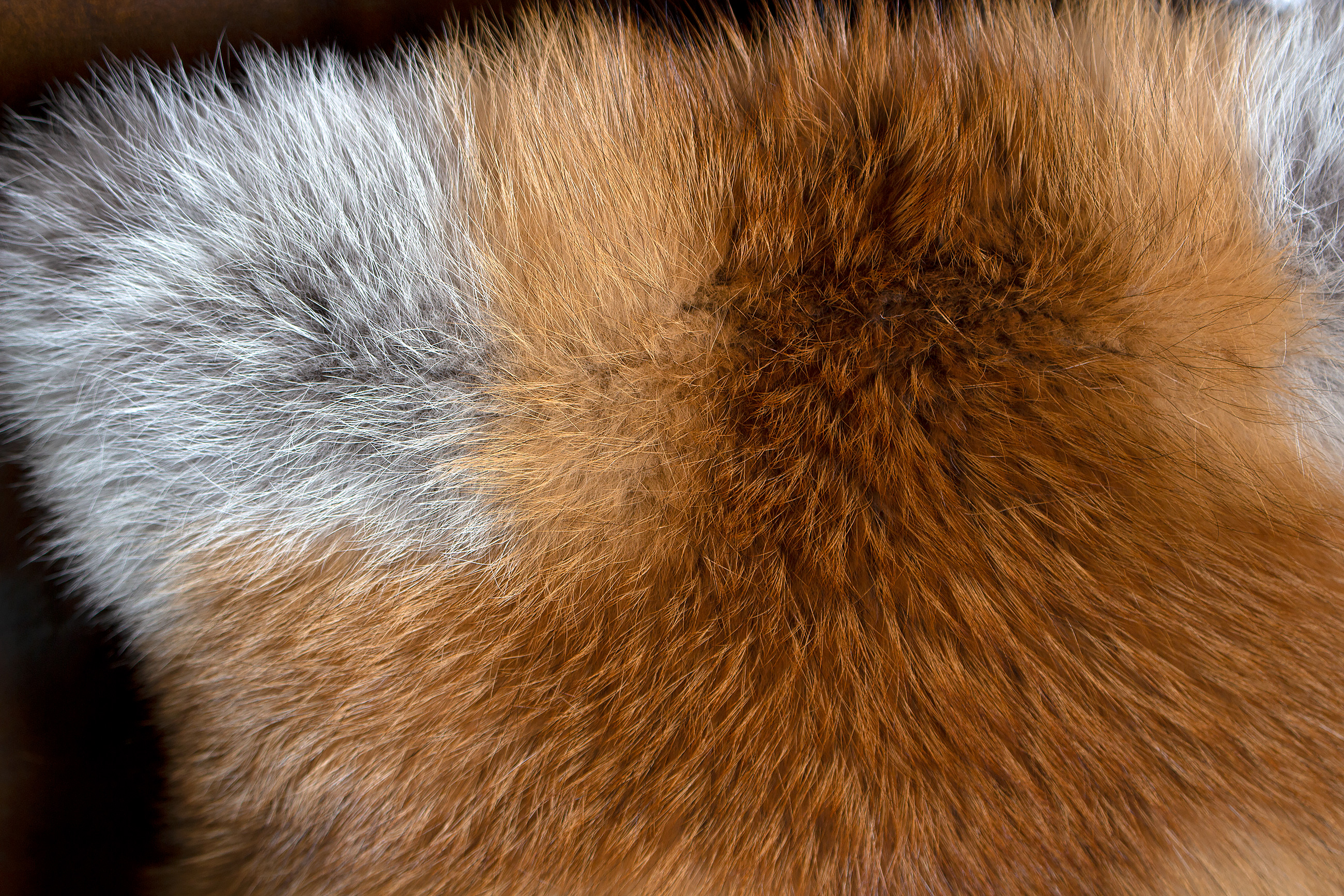Real Red Fox Fur Pillow made with European Foxes