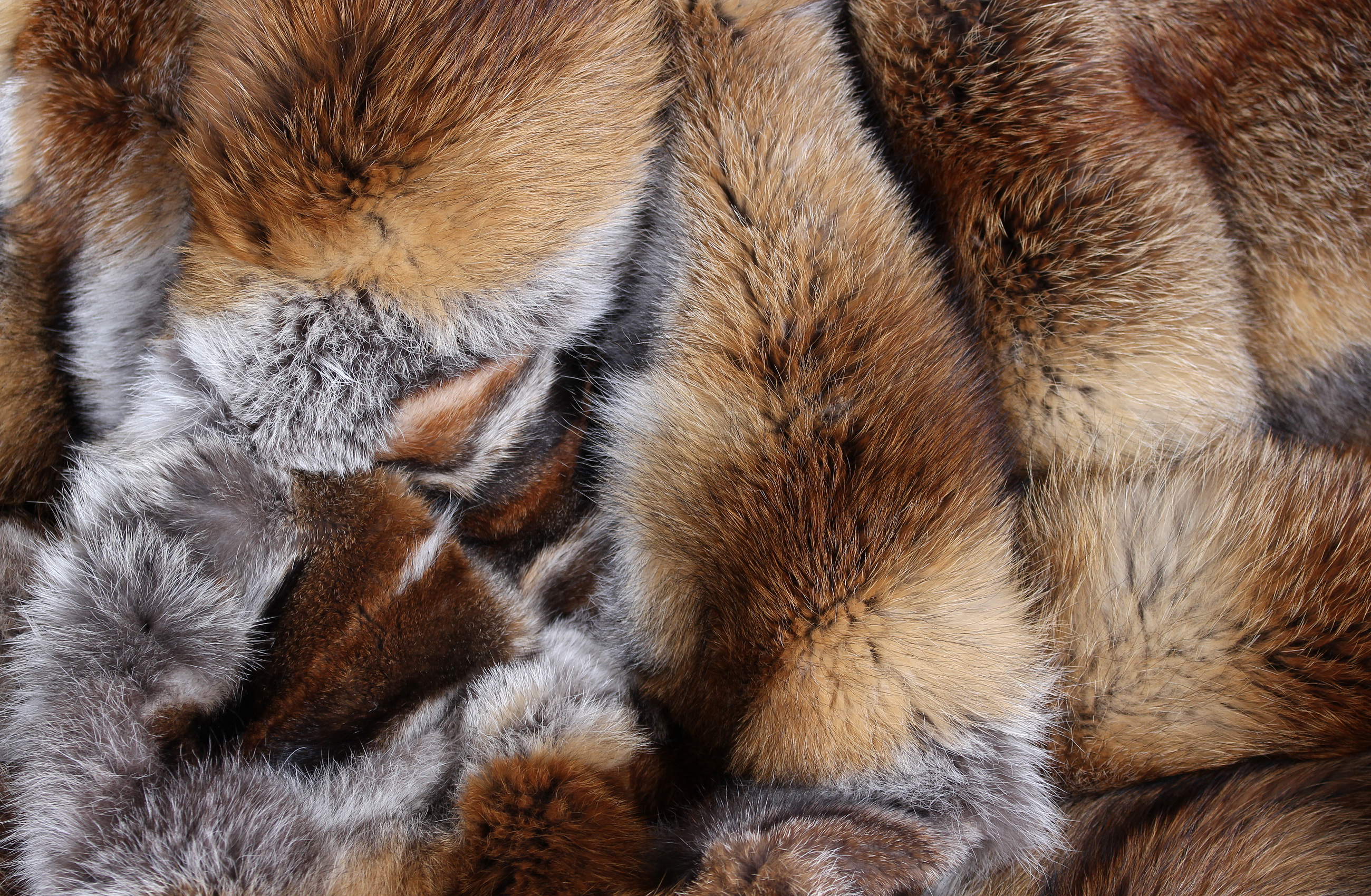 German Red Fox Fur Blanket in natural dark