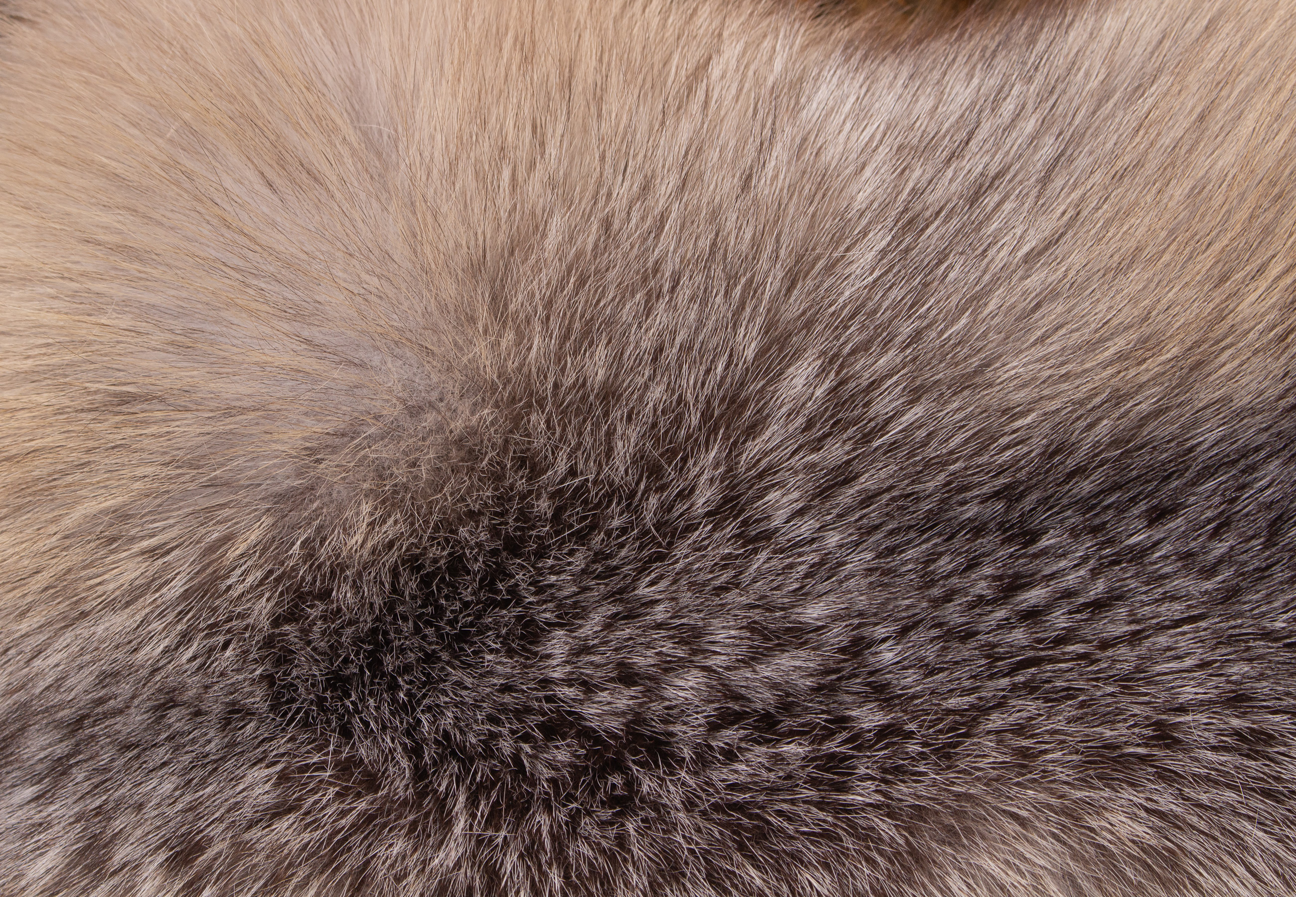 Cuddly Blue Frost Fox Fur Pillow 'Northern Light'