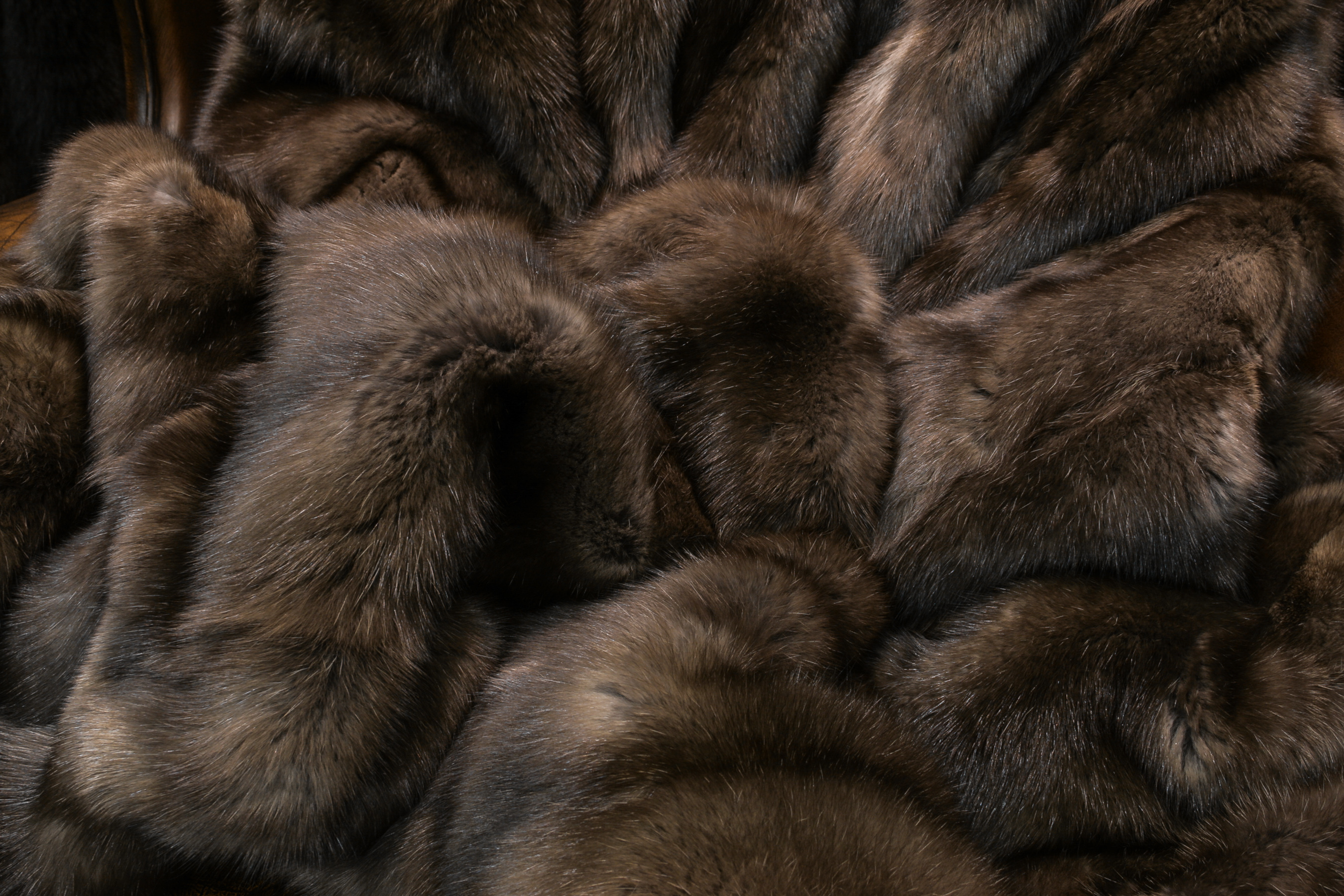 04-591-Zobel-Felldecke-Bargusin-Zobeln-Pelzdecke Russian Sable Fur Blanket