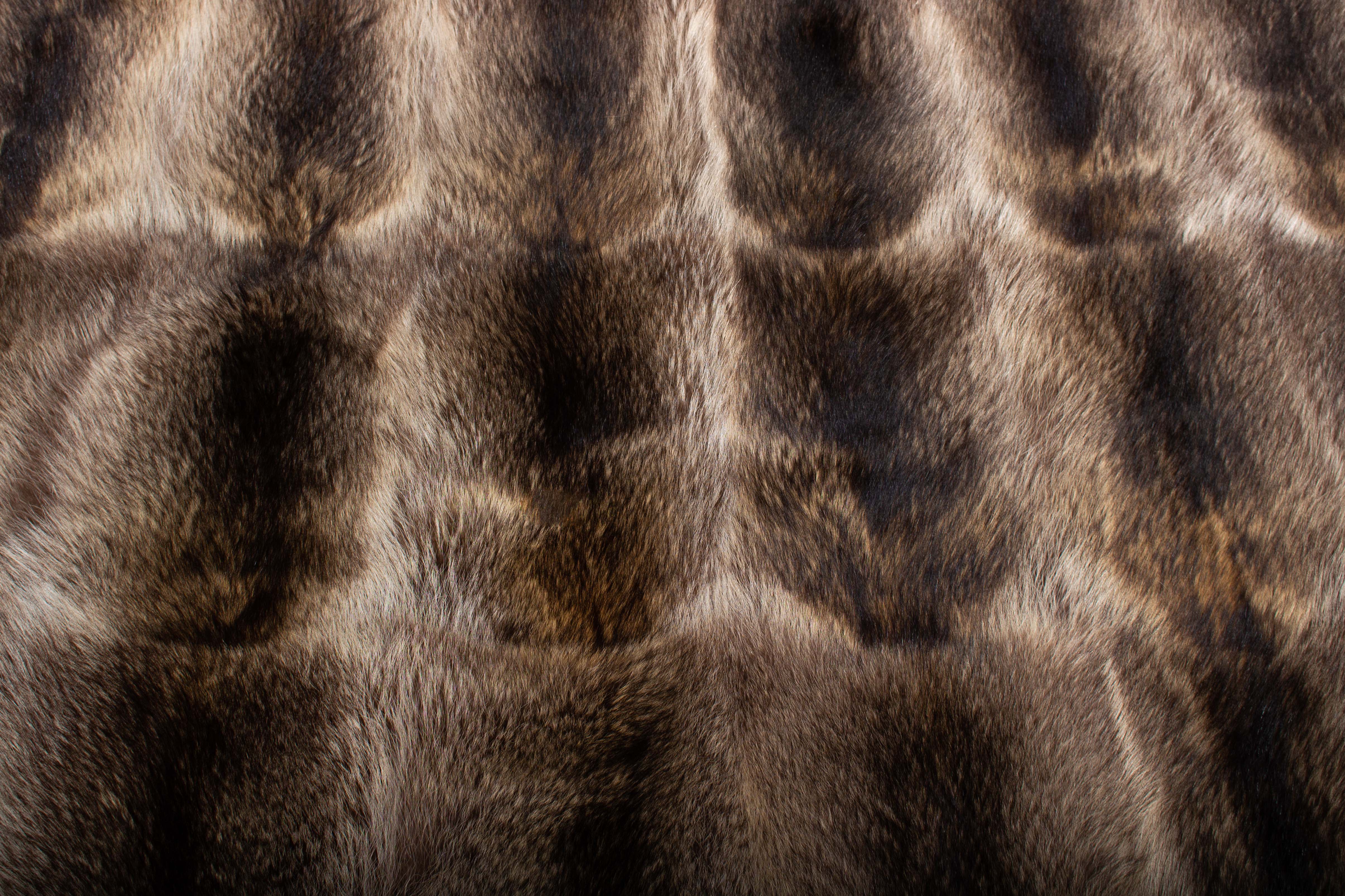 5-3101-Kanadischer-Waschbaer-Fellteppich-Wildware-Lars-Paustian Canadian Raccoon Fur Carpet Wild Fur