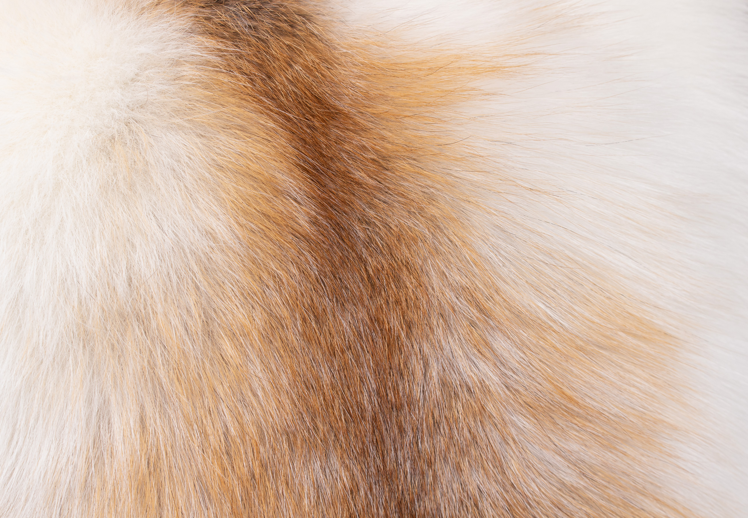 Noble Sun Glo Fox Fur Pillow