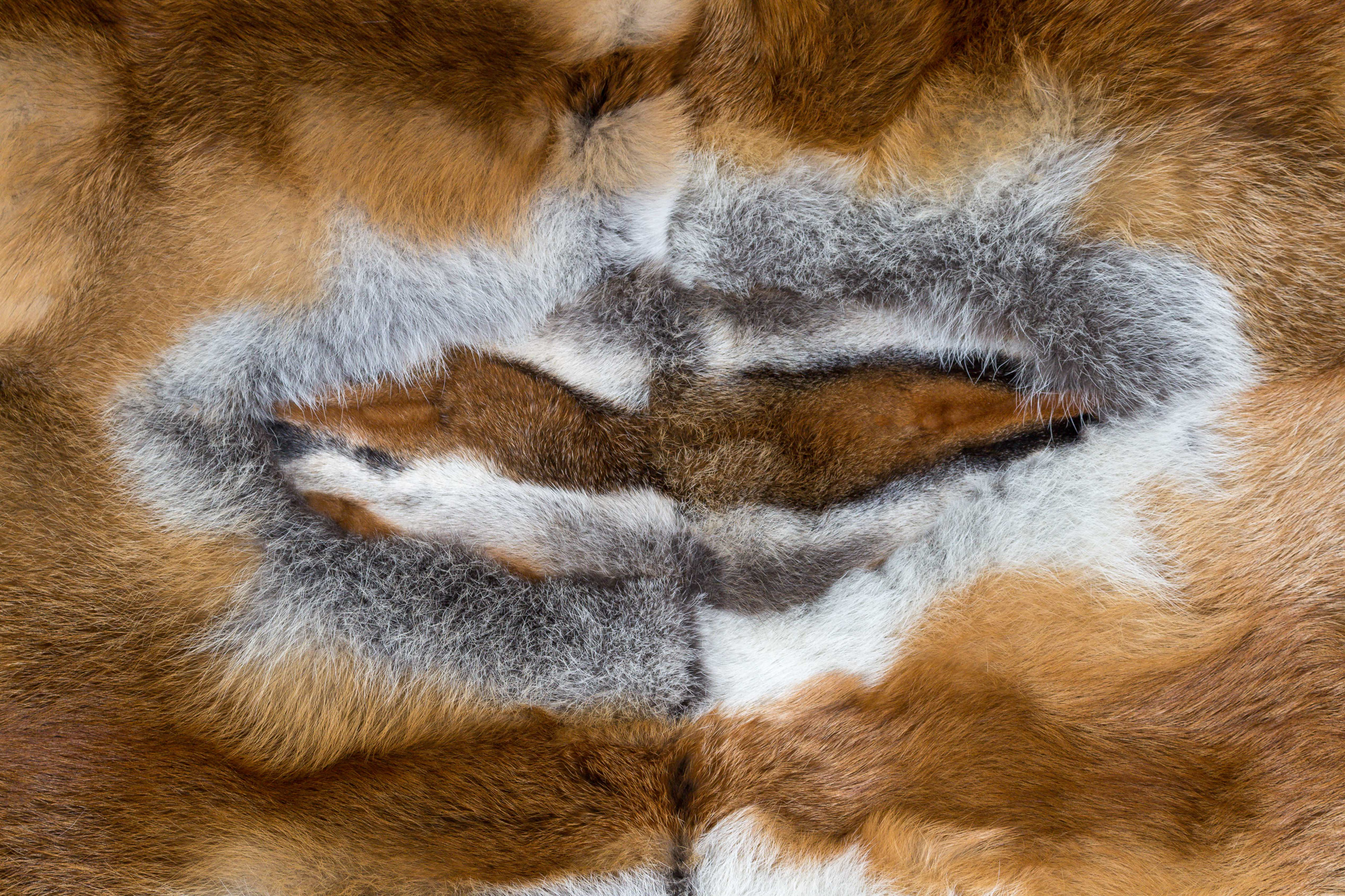 European Red Fox Fur Throw - Light-Type