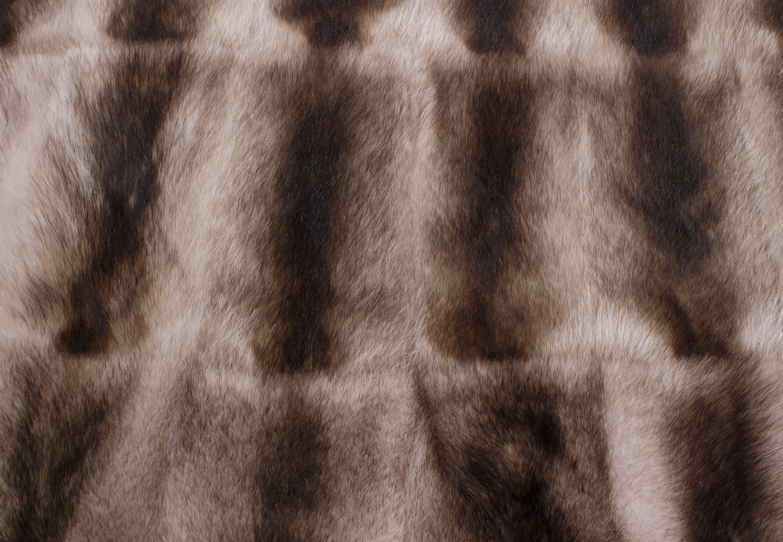 Canadian Raccoon Fur Carpet in Beige