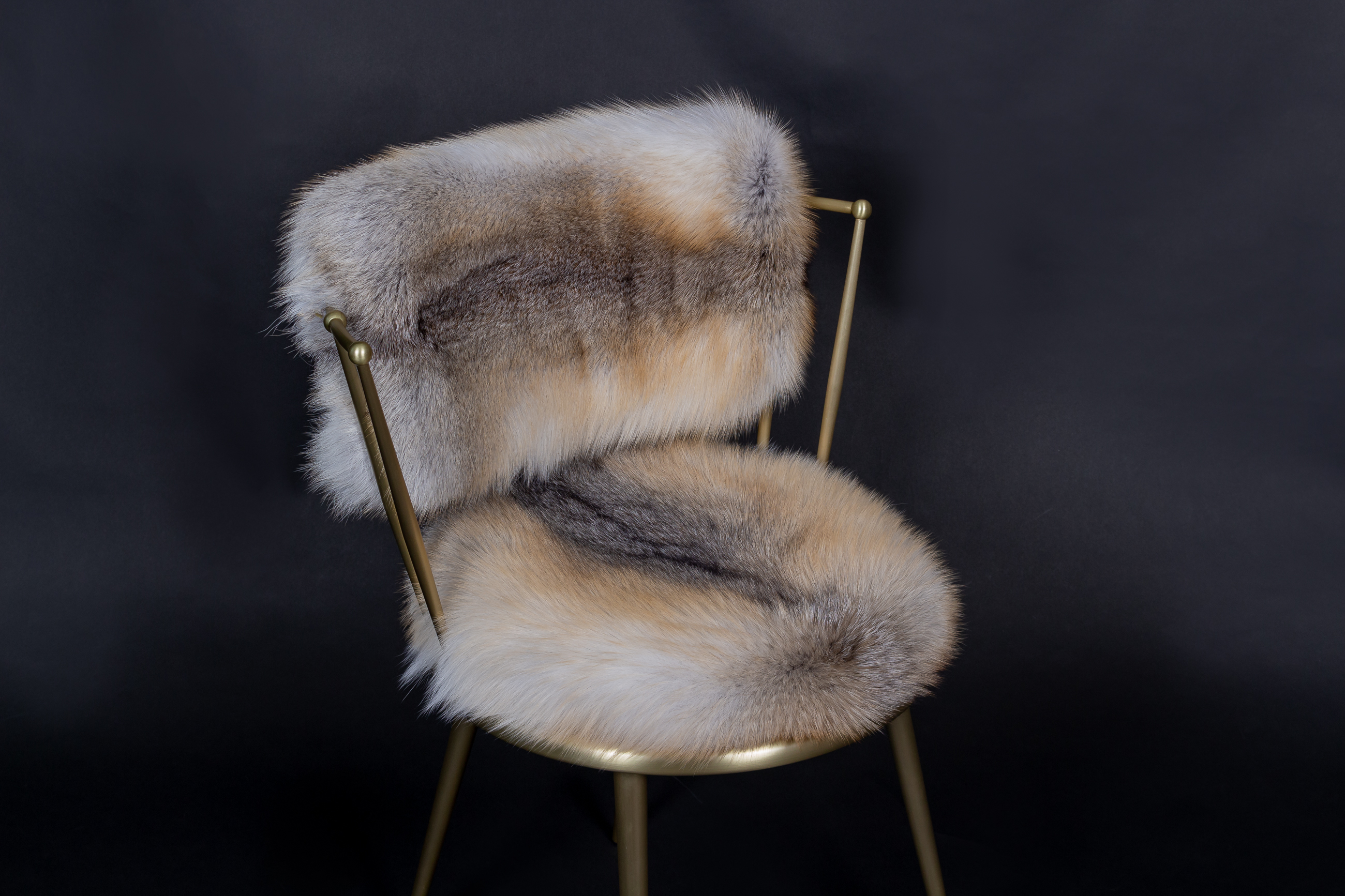 Cantori Chairs with Golden Island Fox Skin