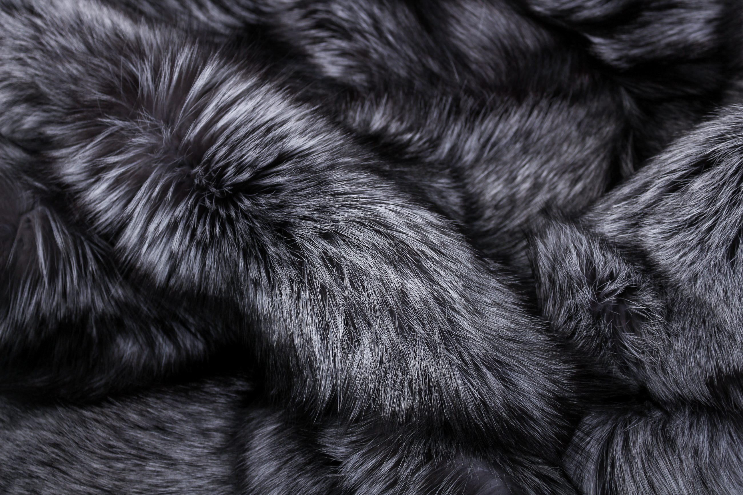 SAGA Silver Fox Fur Carpet - natural