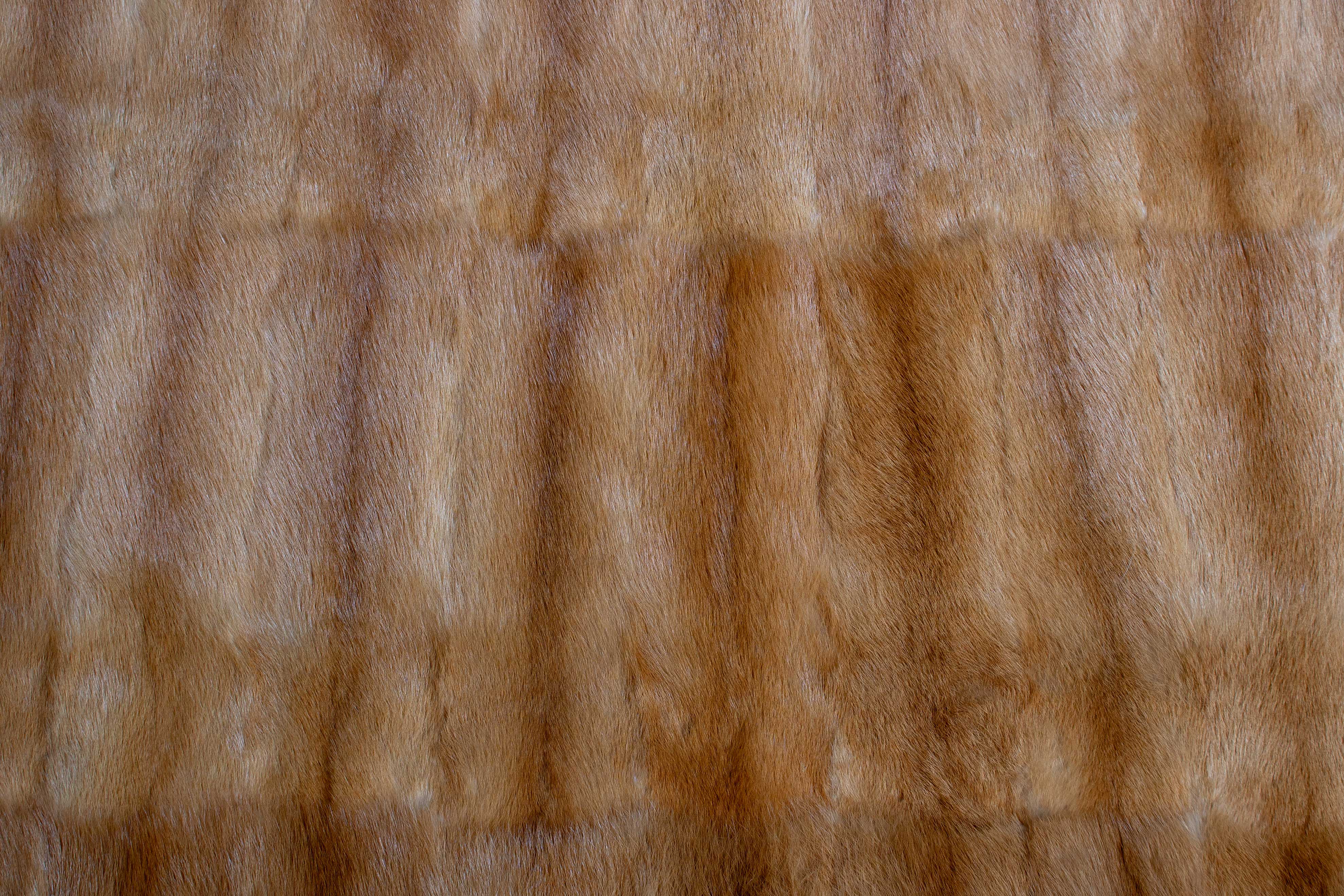 Weasel Fur Rug - Russian Kolinsky Carpet