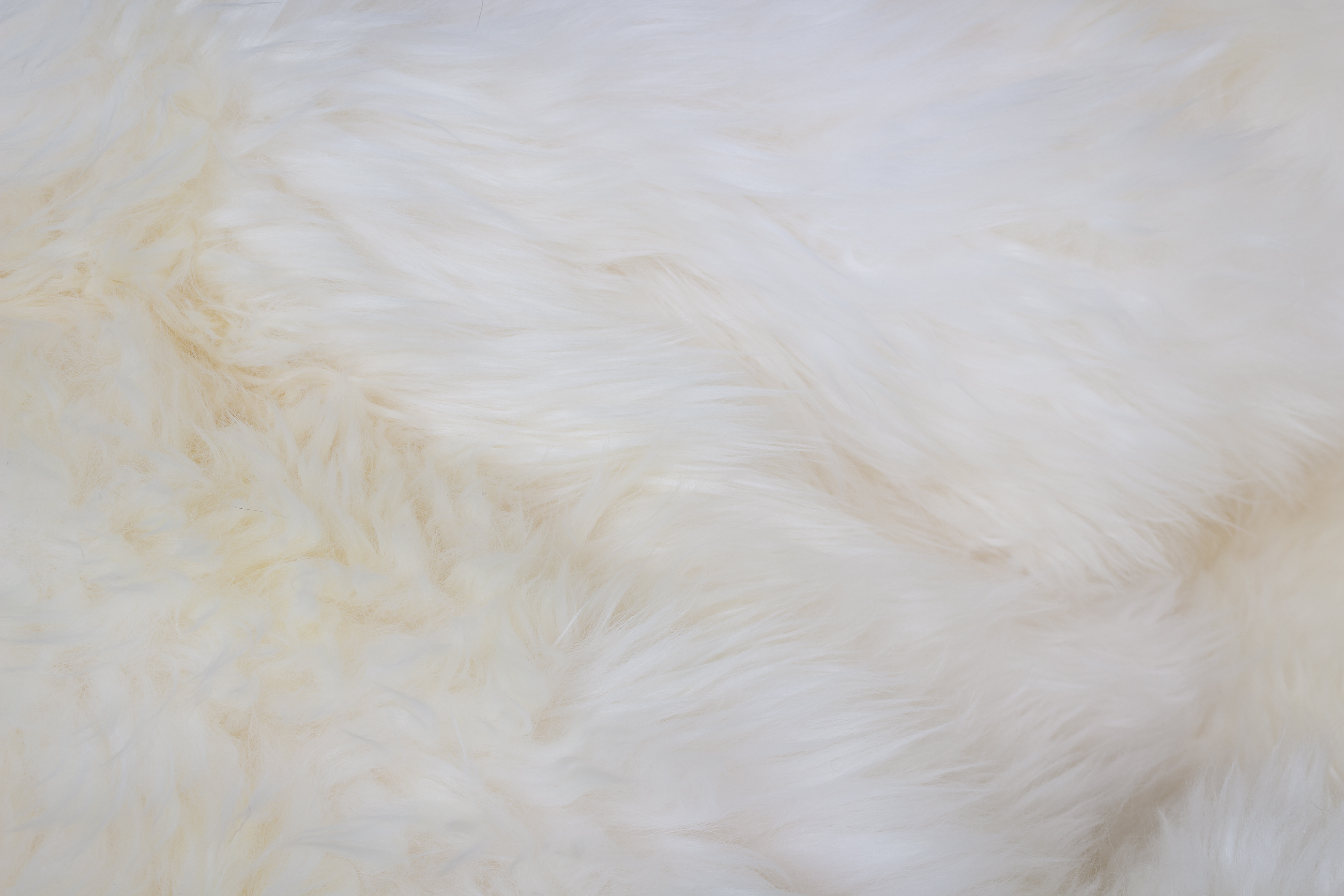 Australian Lamb Blanket - Lamb Fur Carpet in Natural White