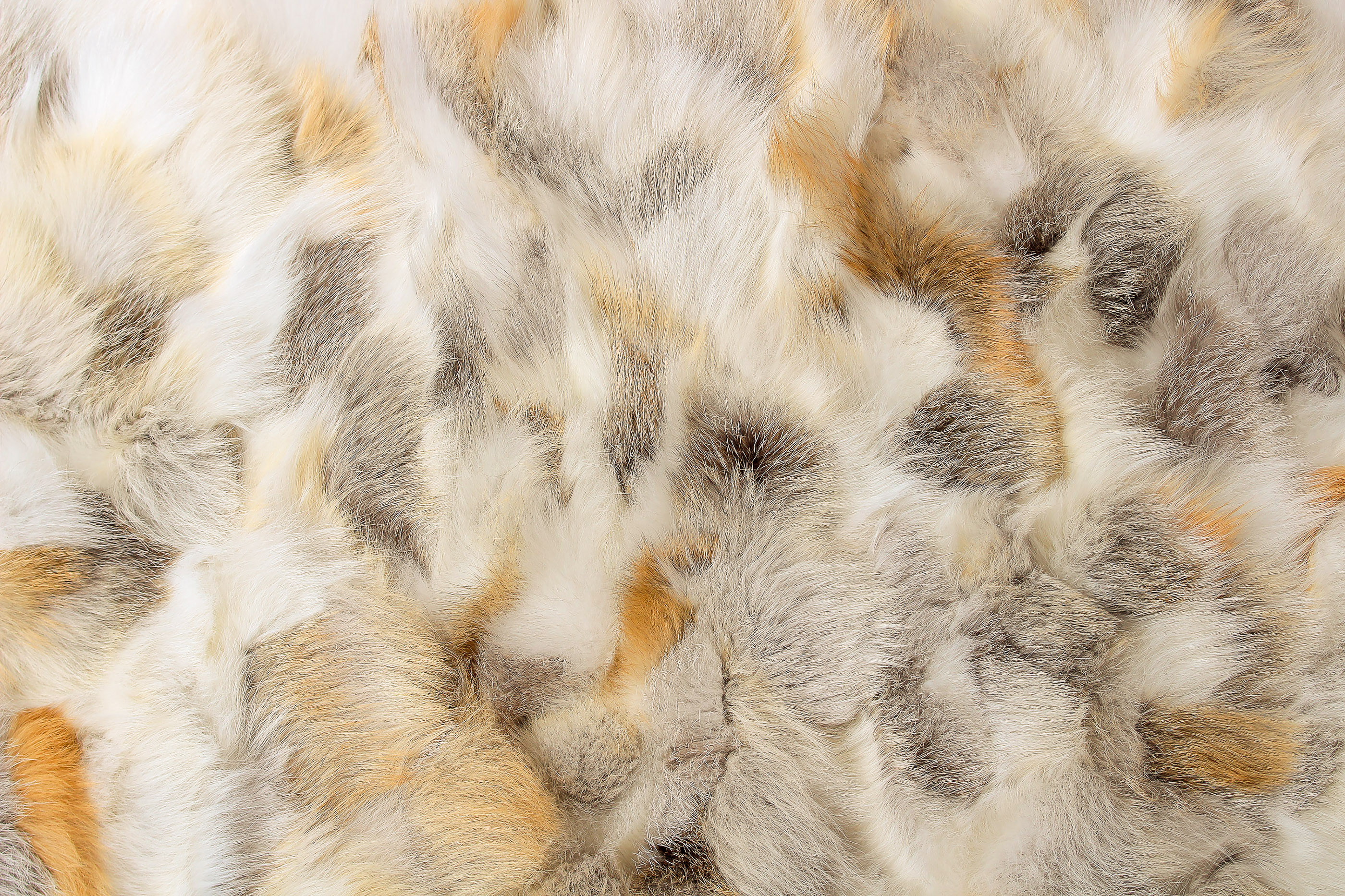 Golden Island Fox Rug