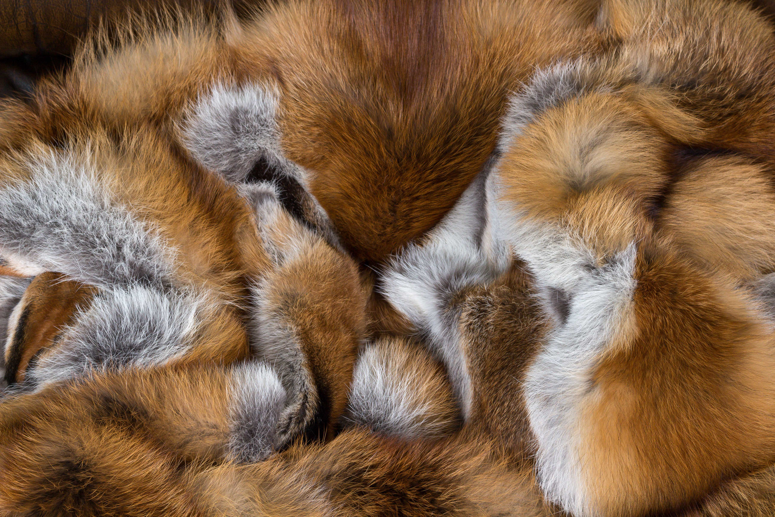 European Red Fox Fur Blanket - basic style