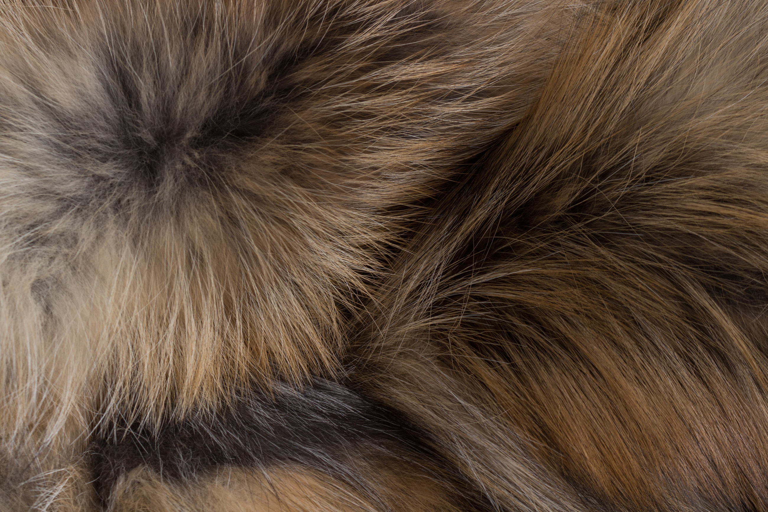 Natural Smokey Fox Blanket